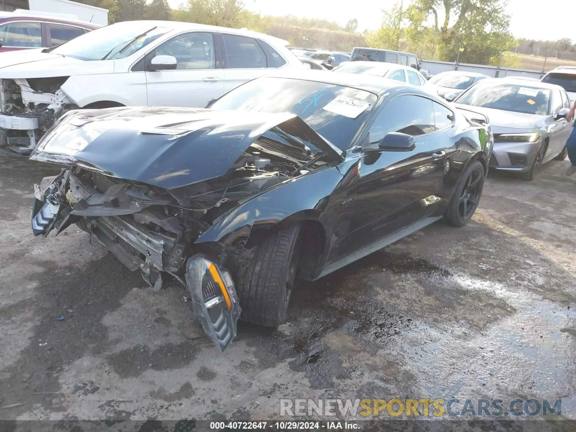 2 Photograph of a damaged car 1FA6P8CF0K5122857 FORD MUSTANG 2019