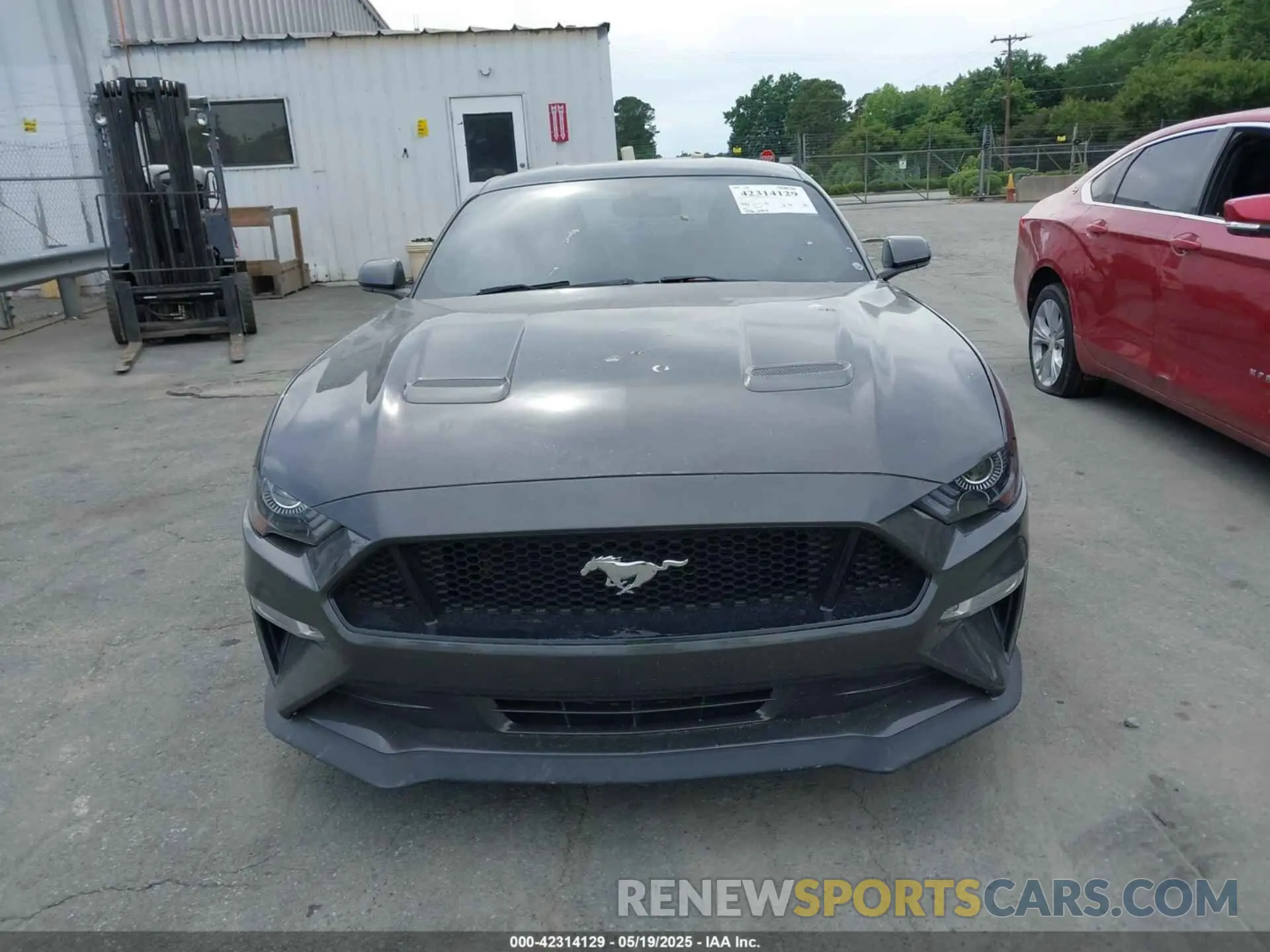 12 Photograph of a damaged car 1FA6P8CF0K5124320 FORD MUSTANG 2019