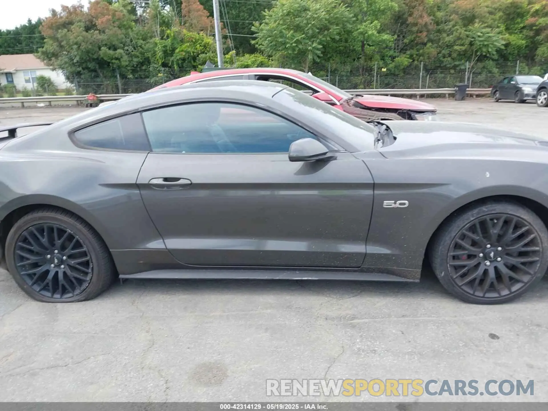 13 Photograph of a damaged car 1FA6P8CF0K5124320 FORD MUSTANG 2019