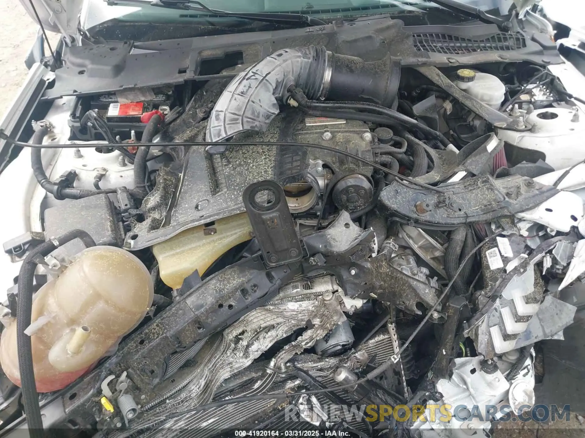 10 Photograph of a damaged car 1FA6P8CF0K5141652 FORD MUSTANG 2019