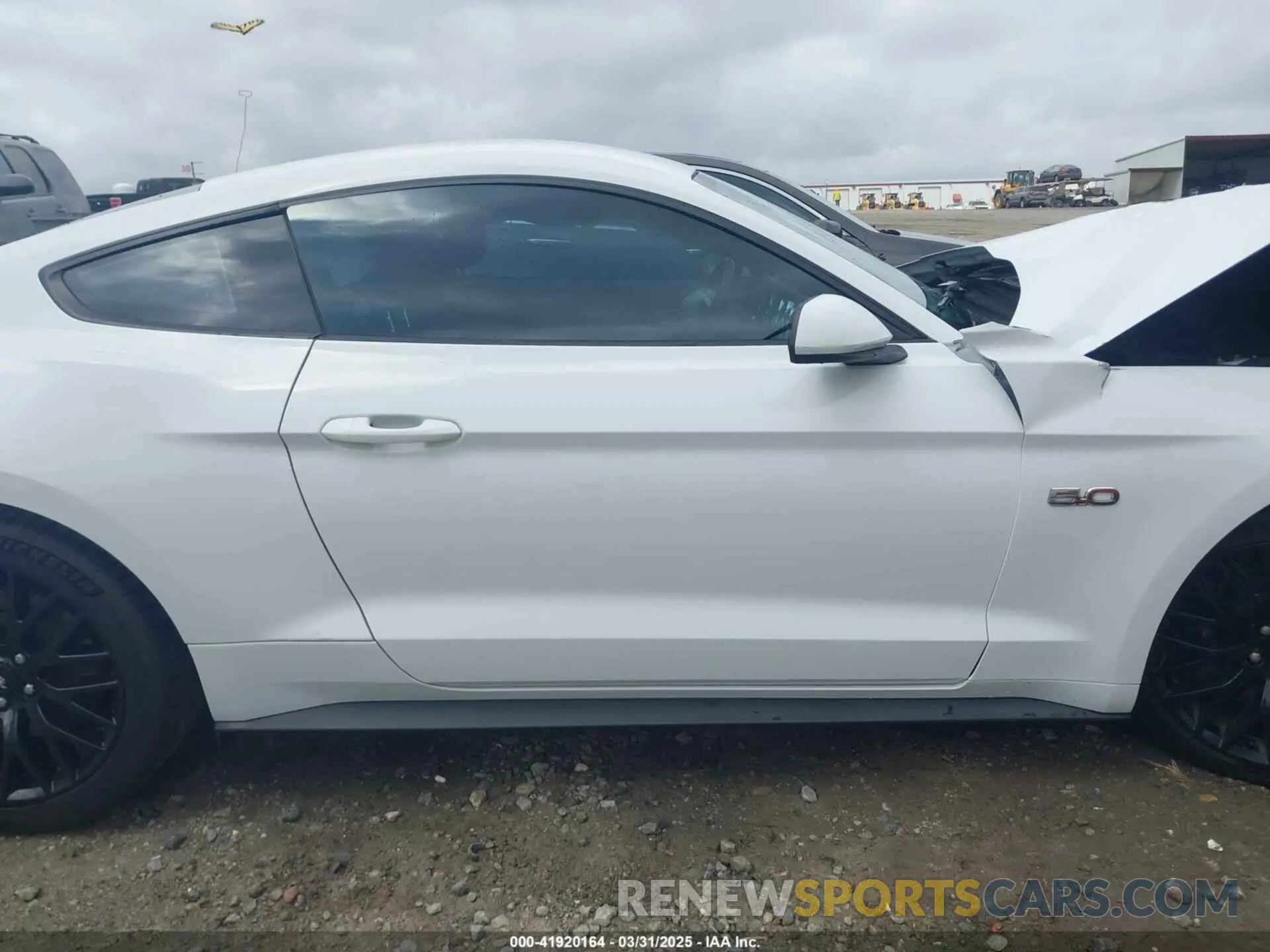 14 Photograph of a damaged car 1FA6P8CF0K5141652 FORD MUSTANG 2019