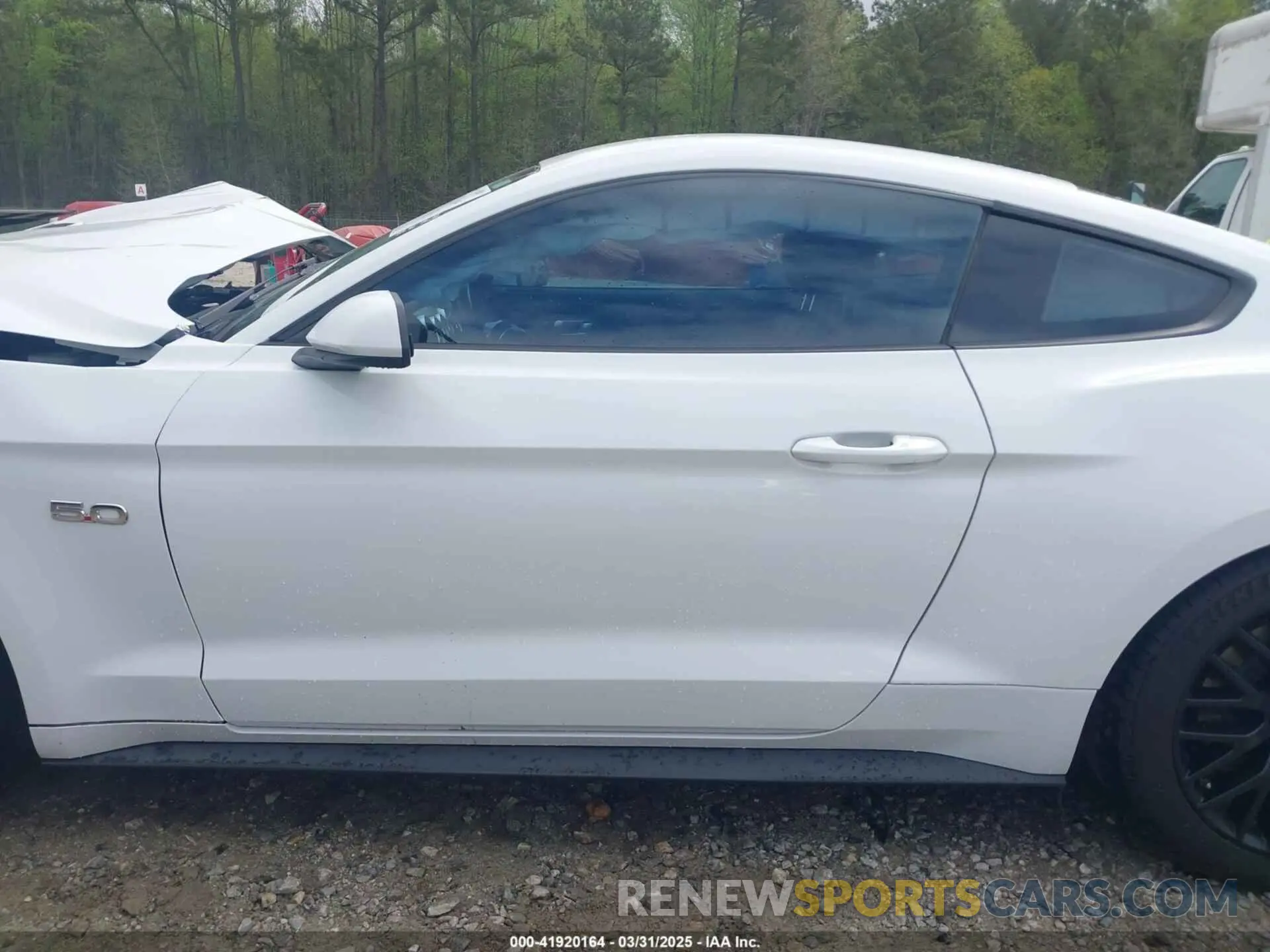 15 Photograph of a damaged car 1FA6P8CF0K5141652 FORD MUSTANG 2019