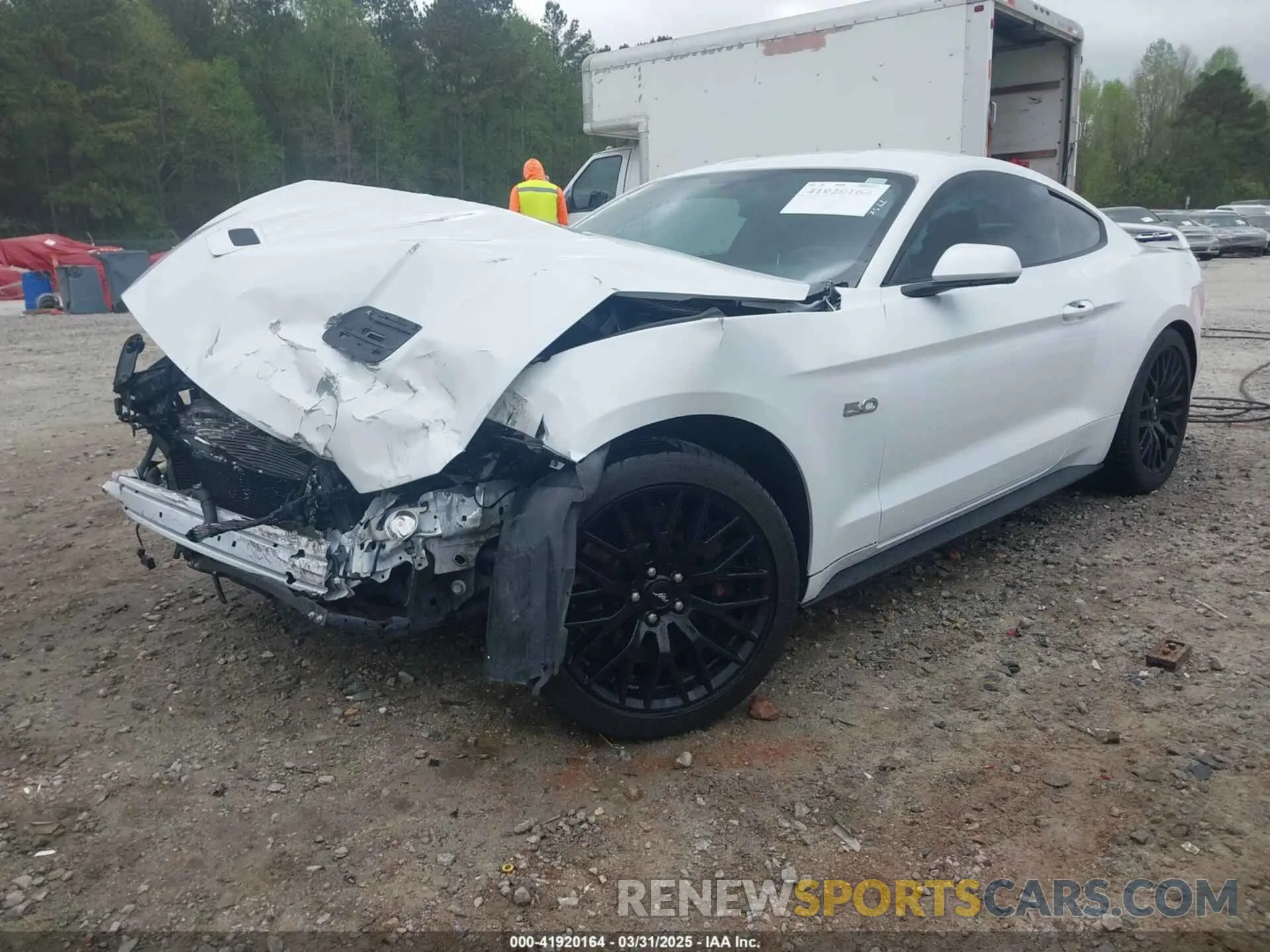 2 Photograph of a damaged car 1FA6P8CF0K5141652 FORD MUSTANG 2019