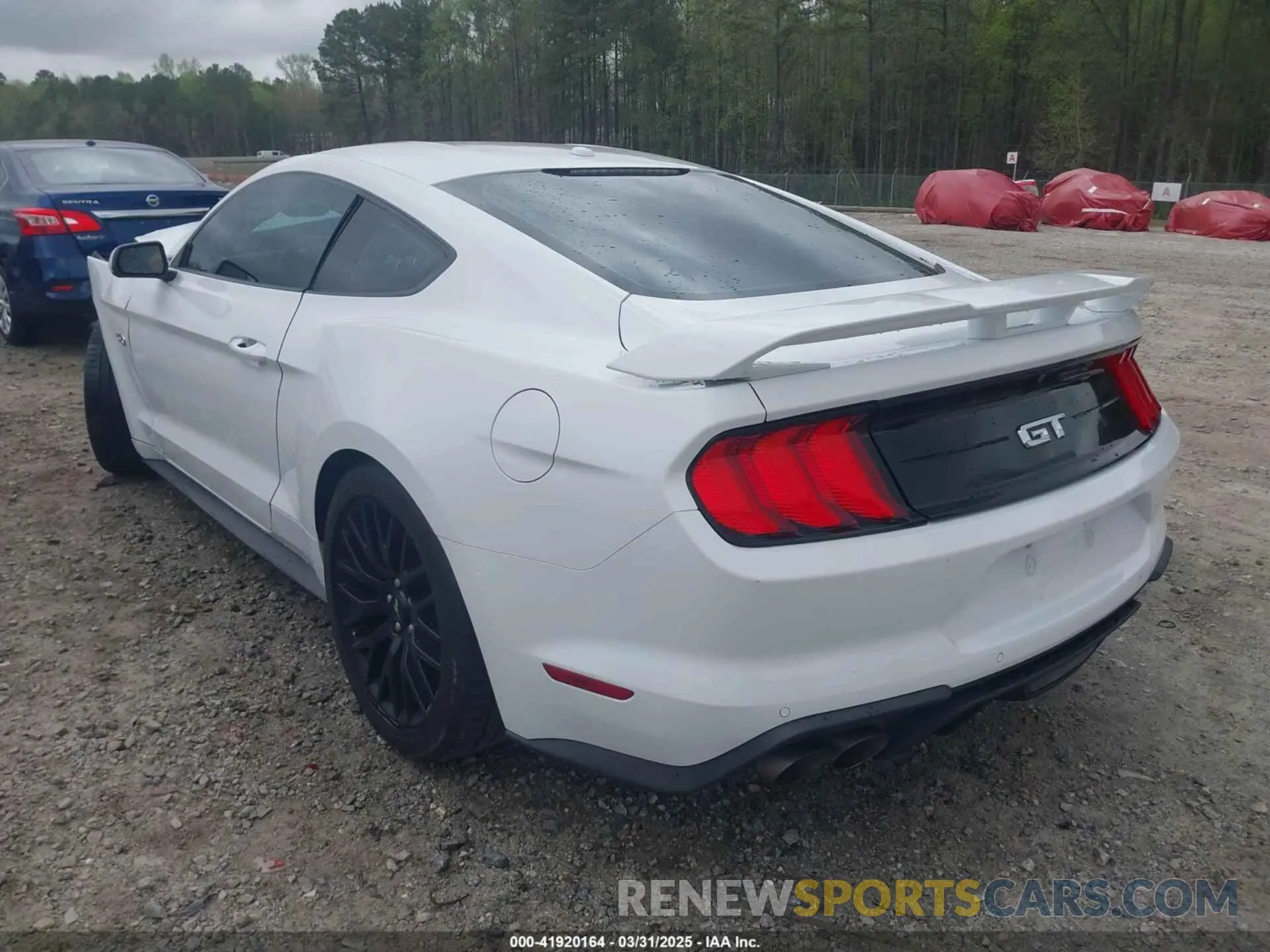 3 Photograph of a damaged car 1FA6P8CF0K5141652 FORD MUSTANG 2019