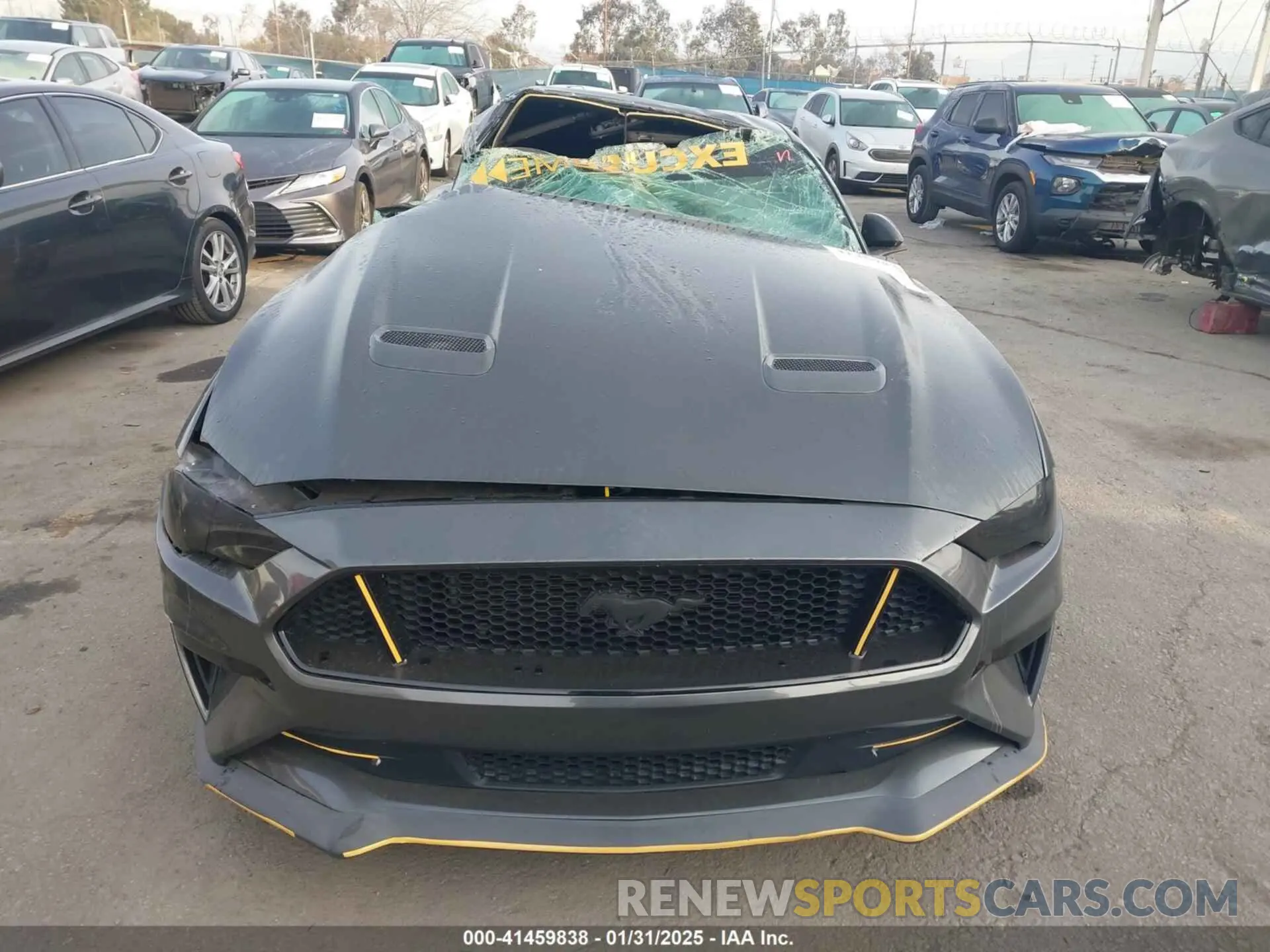 12 Photograph of a damaged car 1FA6P8CF1K5148108 FORD MUSTANG 2019