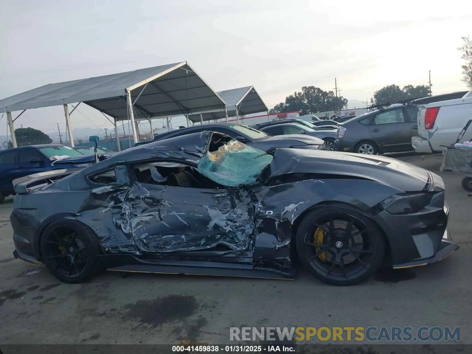 13 Photograph of a damaged car 1FA6P8CF1K5148108 FORD MUSTANG 2019