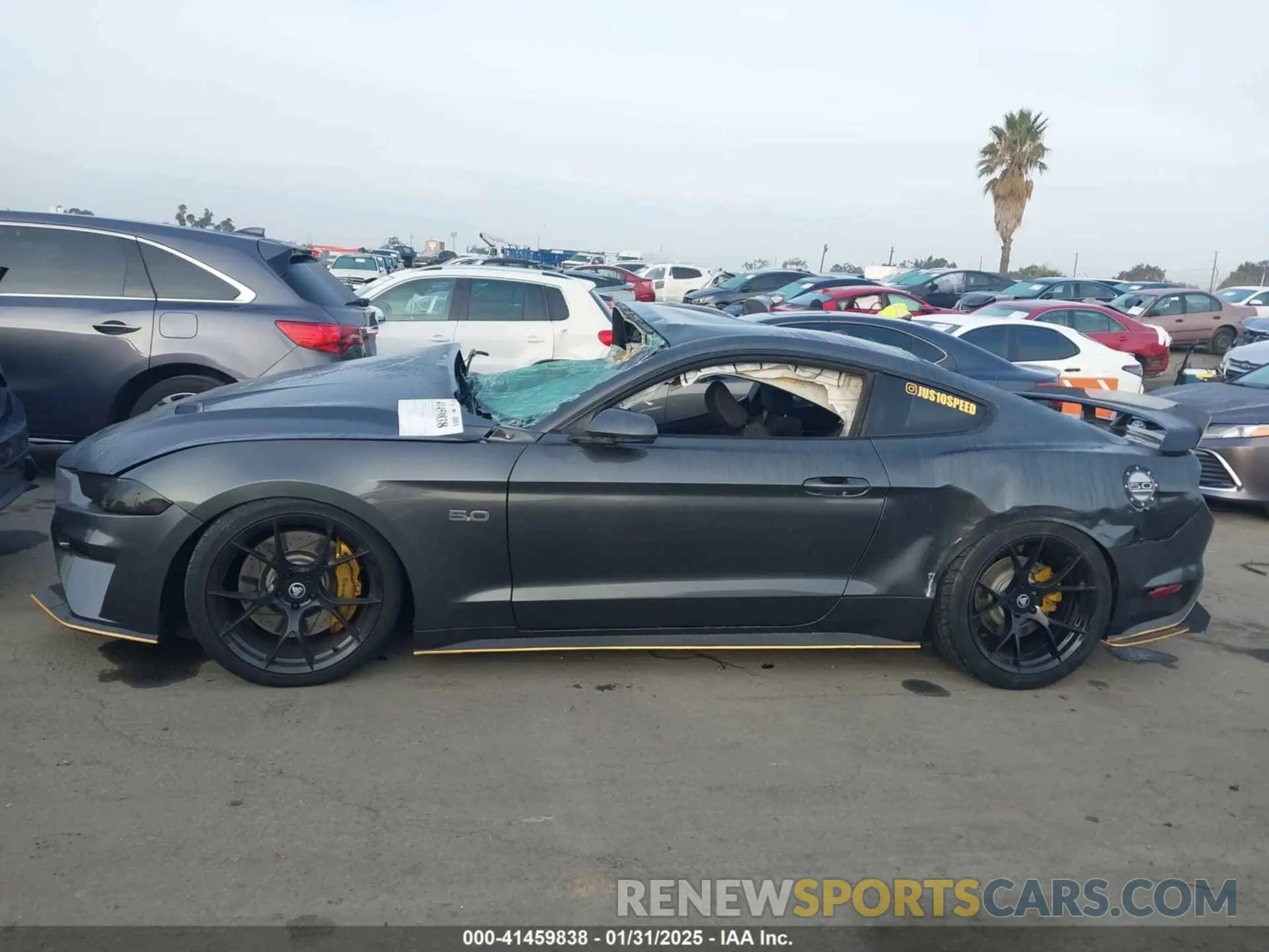 14 Photograph of a damaged car 1FA6P8CF1K5148108 FORD MUSTANG 2019