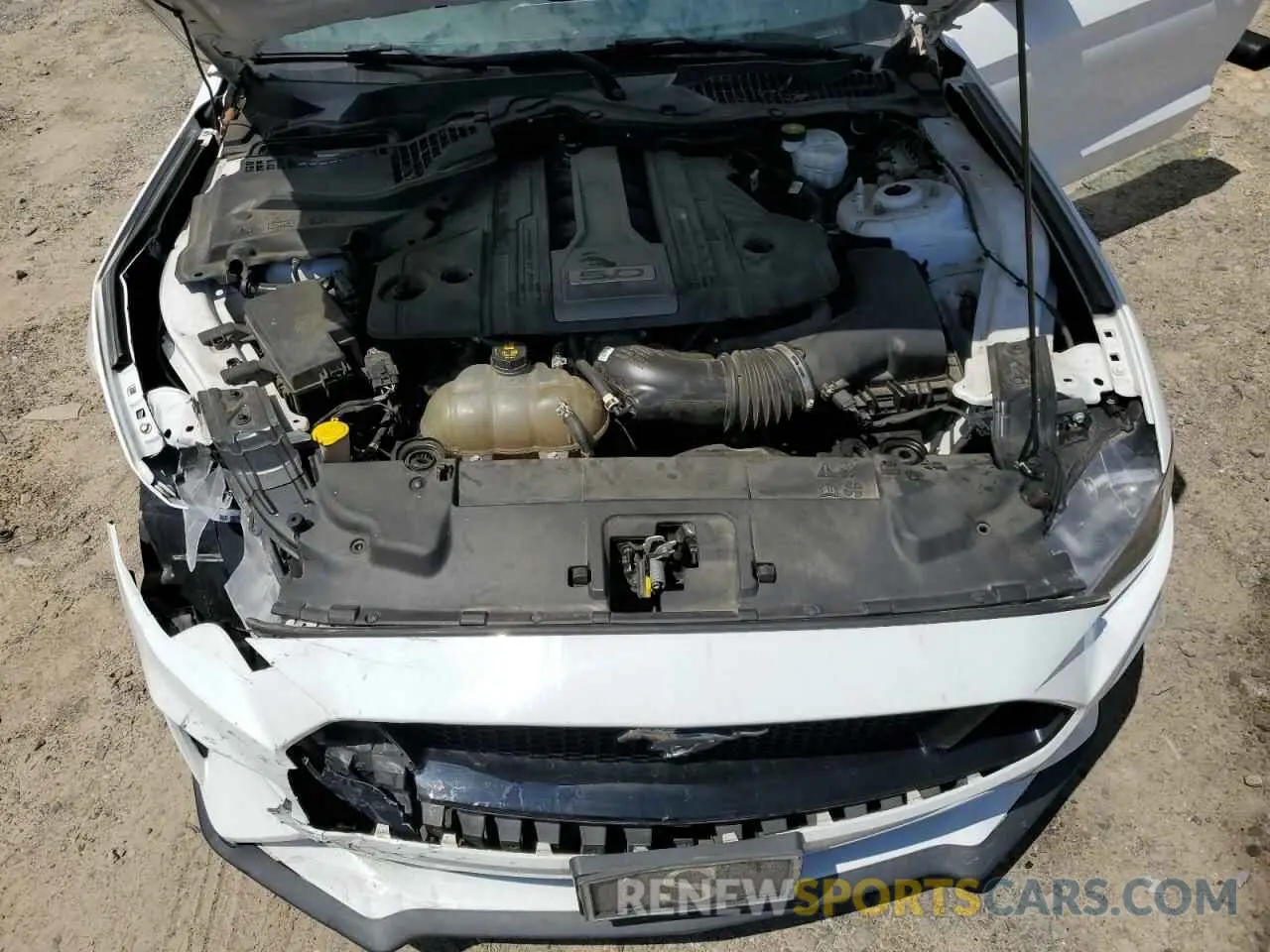 11 Photograph of a damaged car 1FA6P8CF1K5151669 FORD MUSTANG 2019
