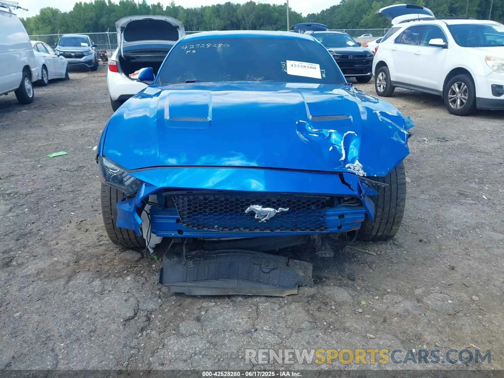 12 Photograph of a damaged car 1FA6P8CF1K5157004 FORD MUSTANG 2019