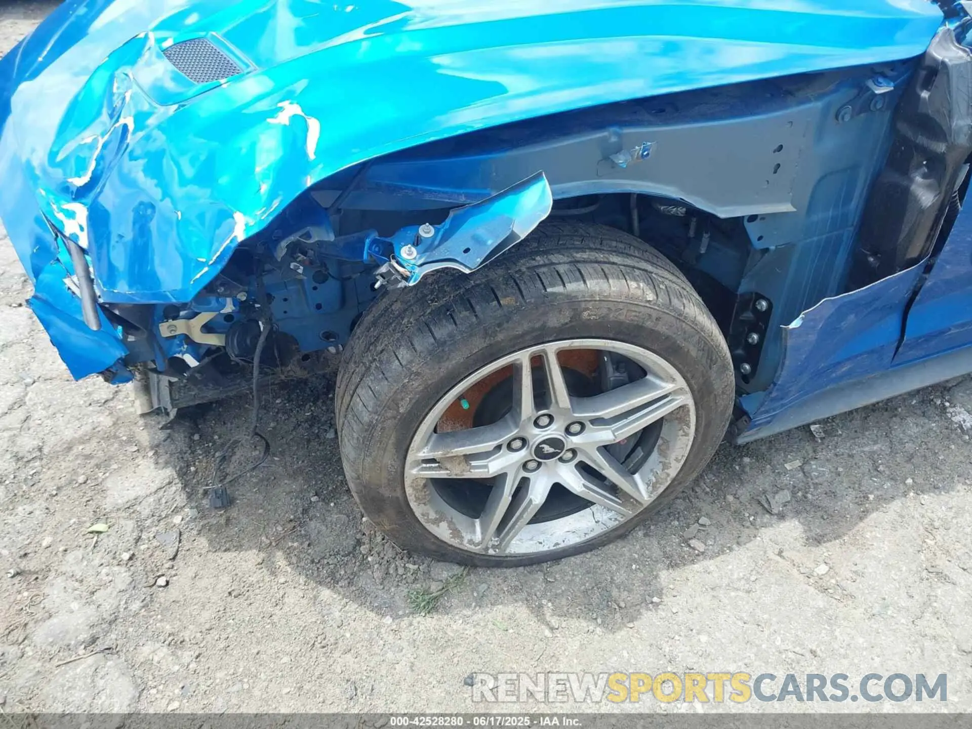 6 Photograph of a damaged car 1FA6P8CF1K5157004 FORD MUSTANG 2019