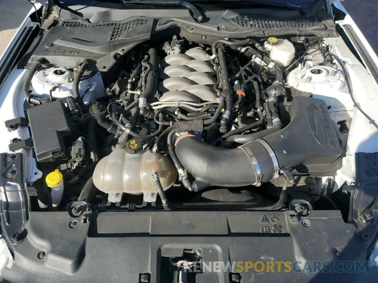 11 Photograph of a damaged car 1FA6P8CF1K5166740 FORD MUSTANG 2019