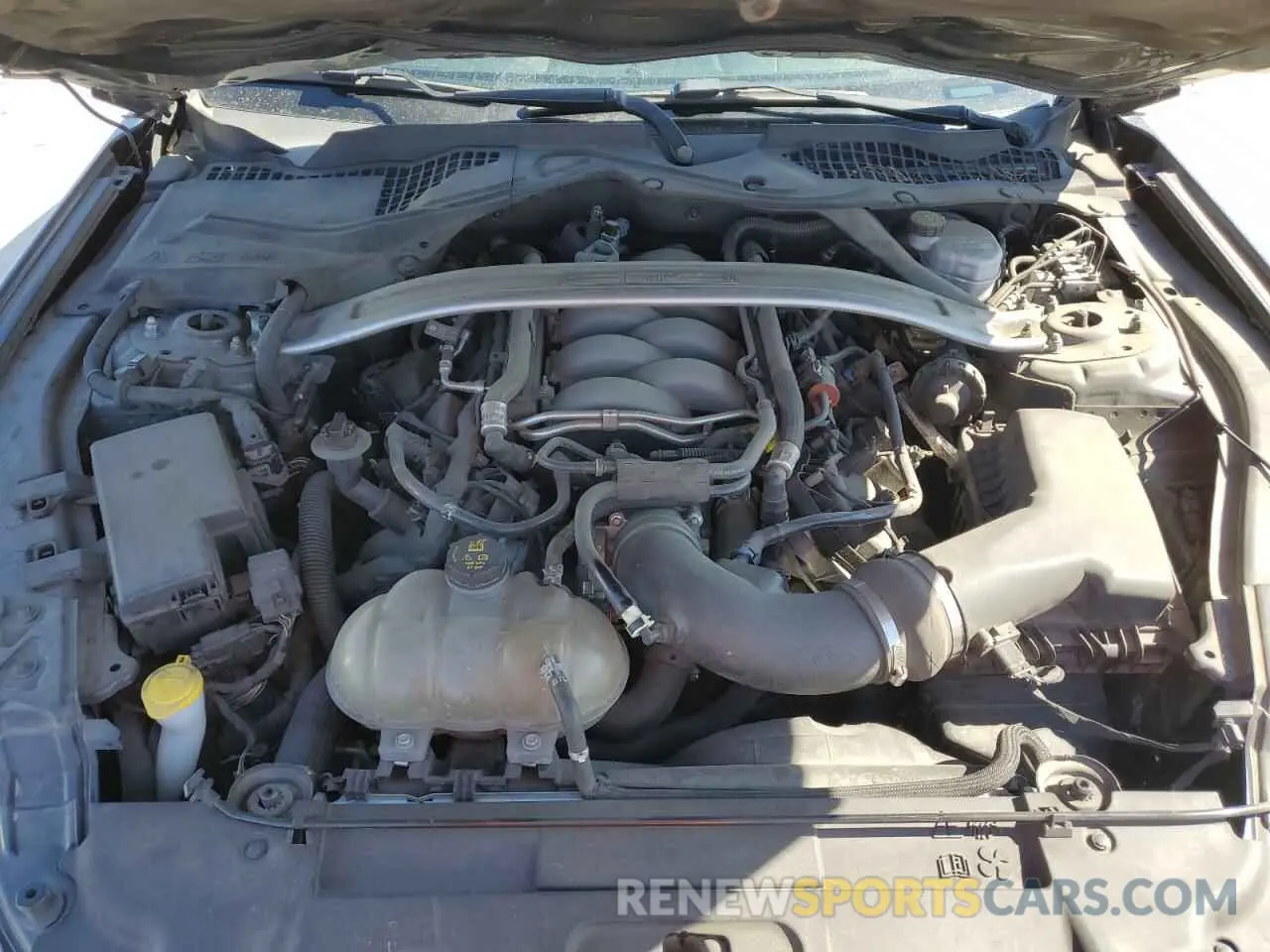 11 Photograph of a damaged car 1FA6P8CF1K5168794 FORD MUSTANG 2019