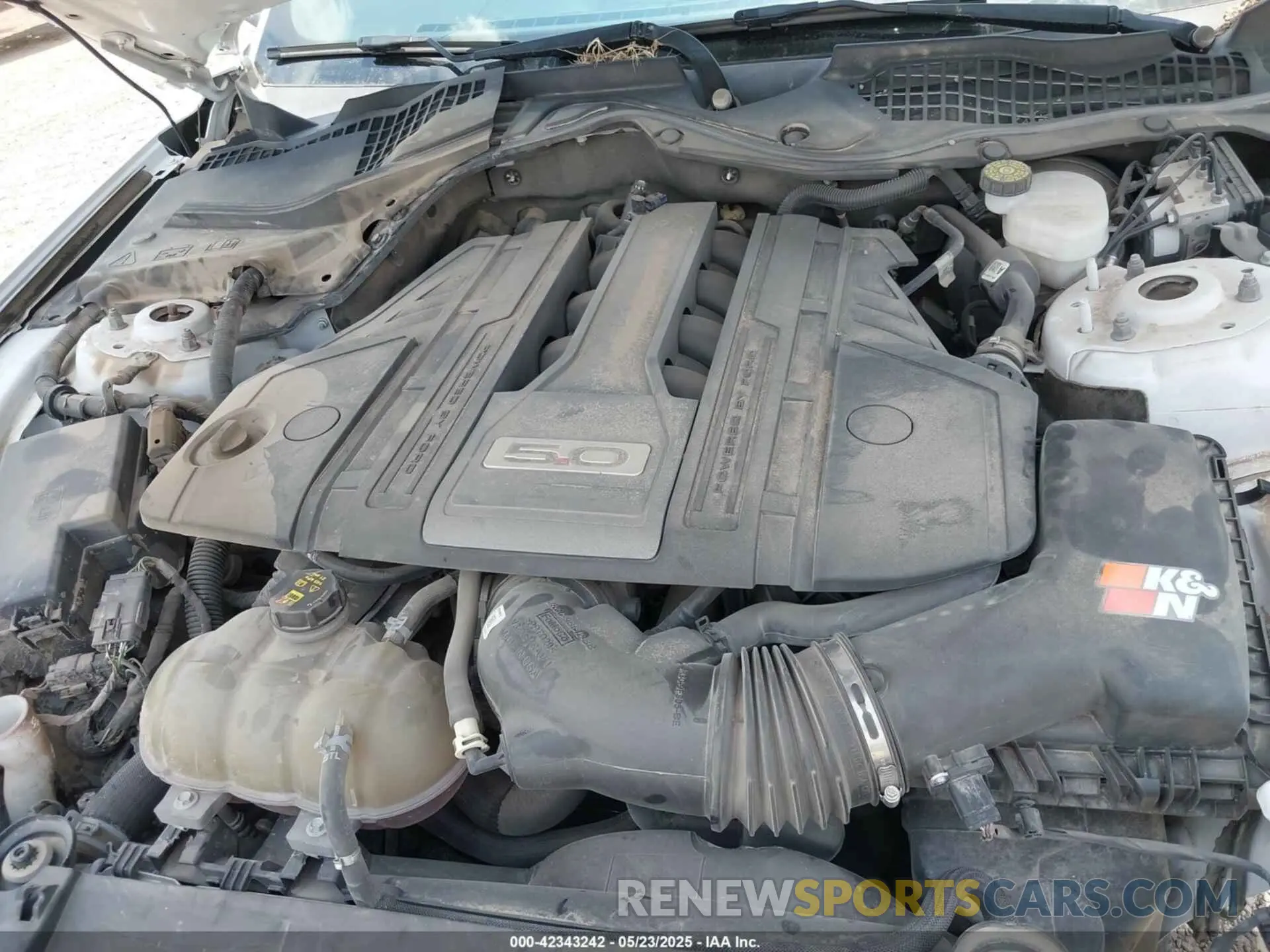 10 Photograph of a damaged car 1FA6P8CF1K5192822 FORD MUSTANG 2019