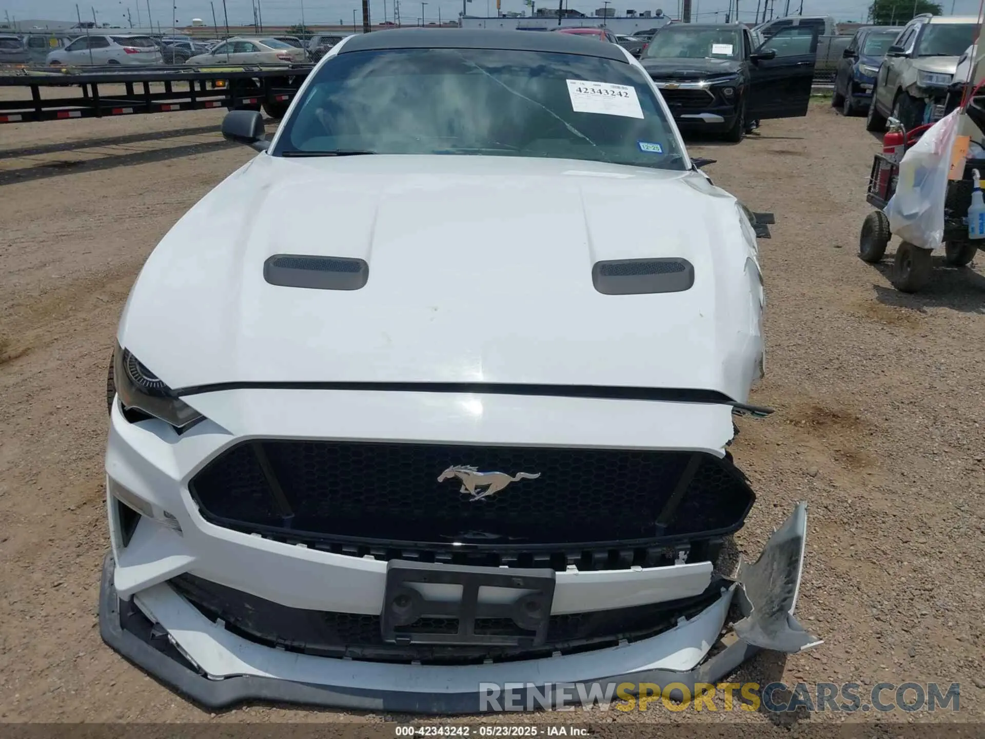13 Photograph of a damaged car 1FA6P8CF1K5192822 FORD MUSTANG 2019