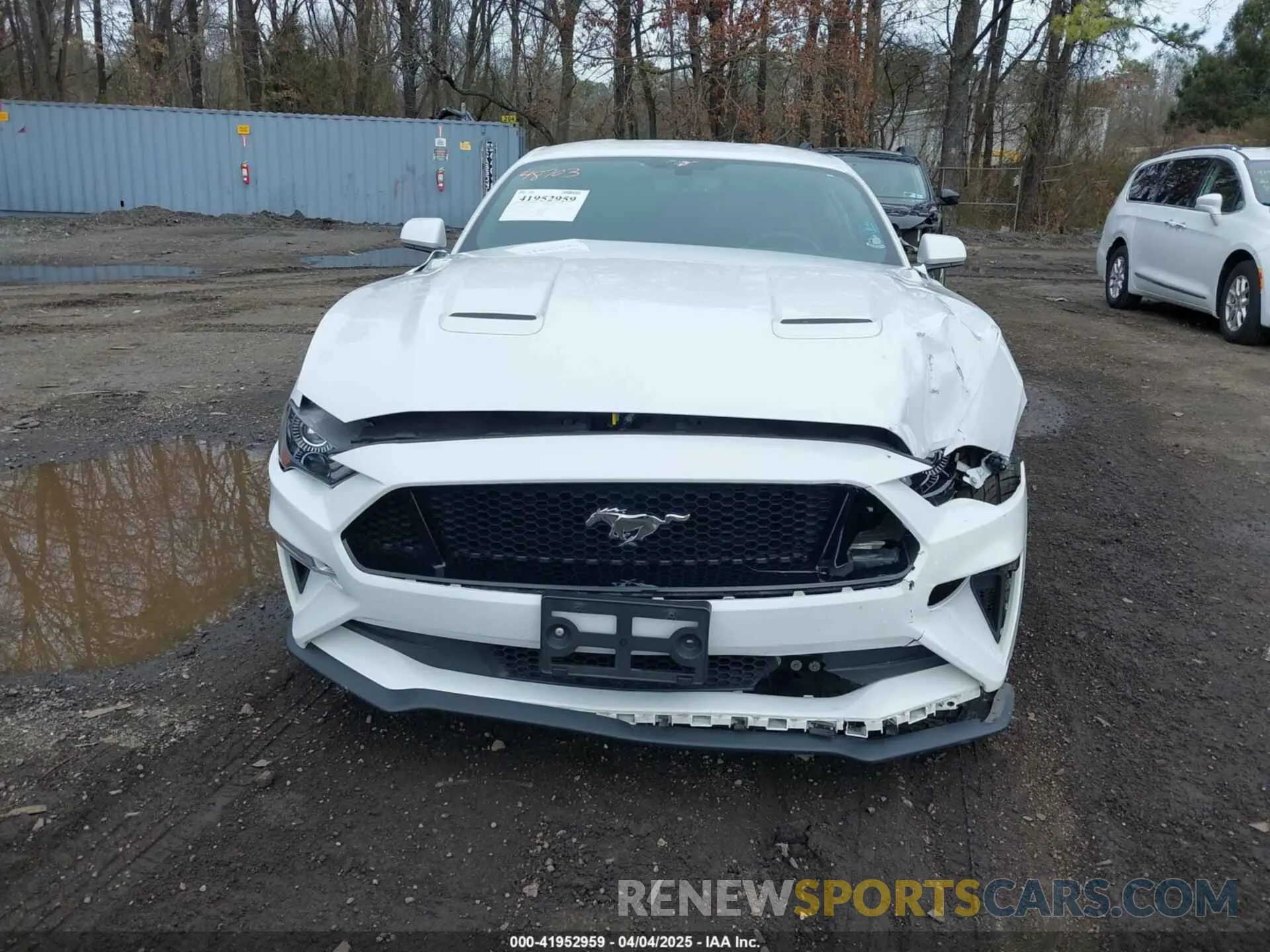 12 Photograph of a damaged car 1FA6P8CF2K5103419 FORD MUSTANG 2019