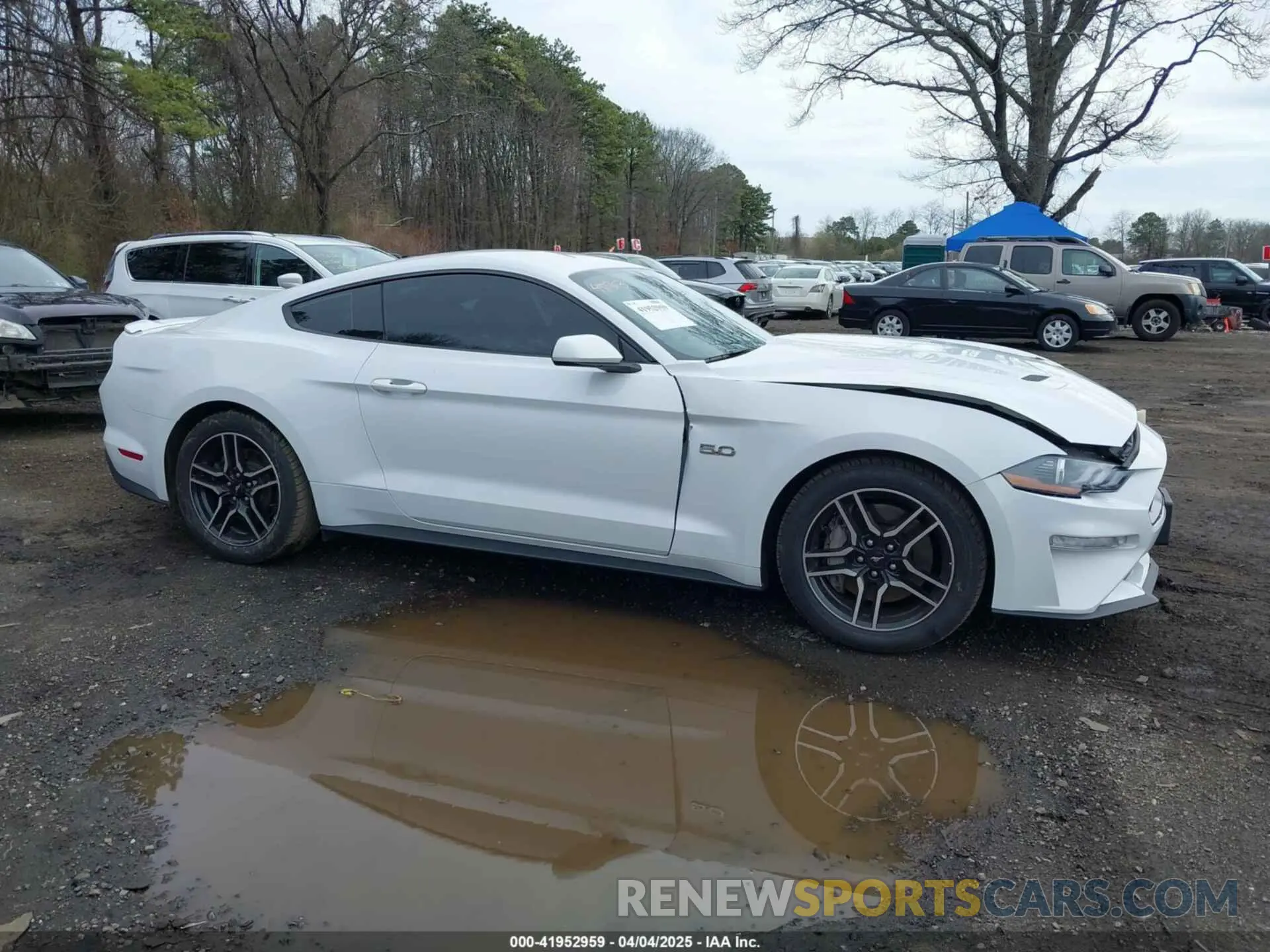 13 Photograph of a damaged car 1FA6P8CF2K5103419 FORD MUSTANG 2019