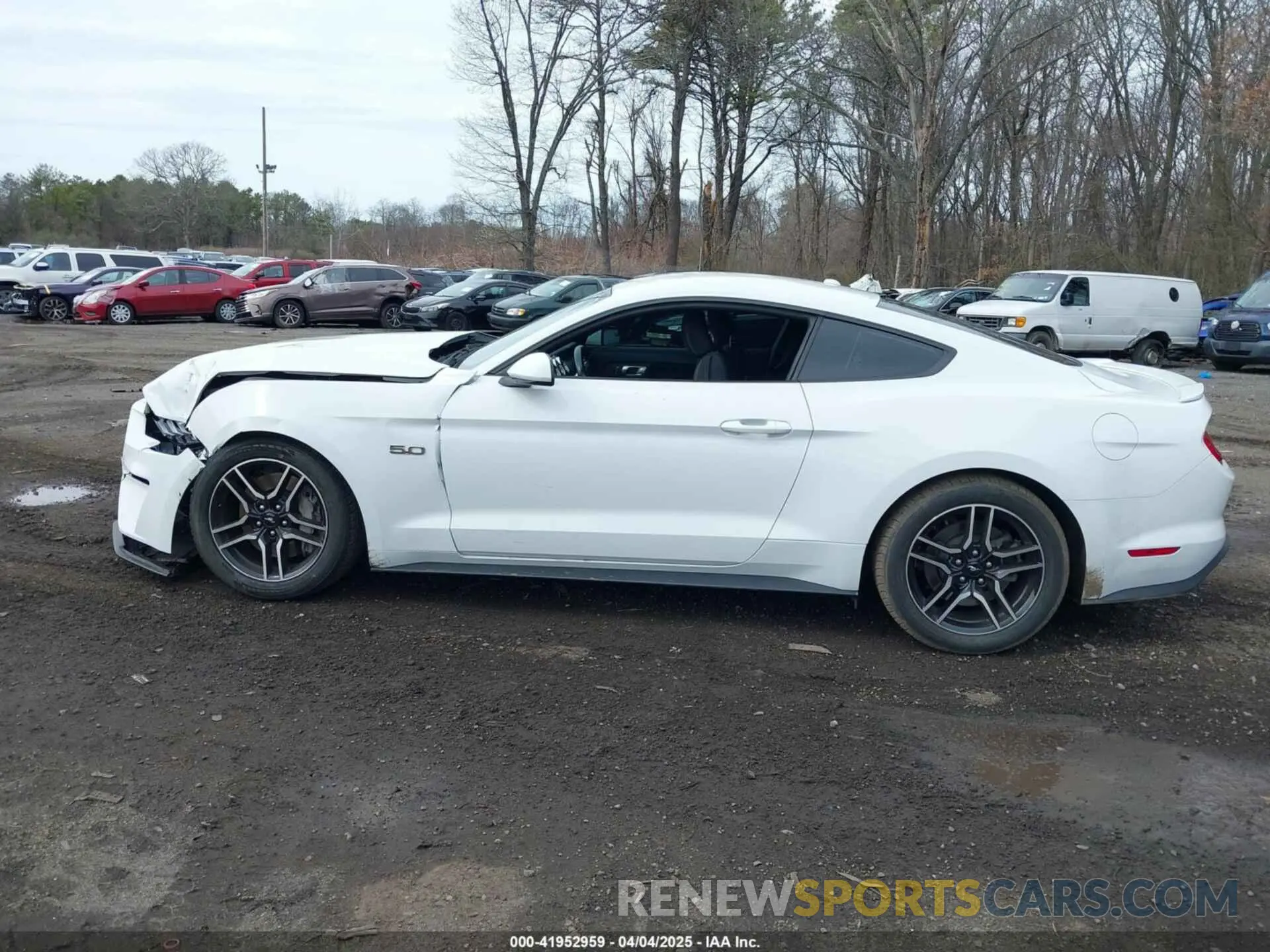14 Photograph of a damaged car 1FA6P8CF2K5103419 FORD MUSTANG 2019