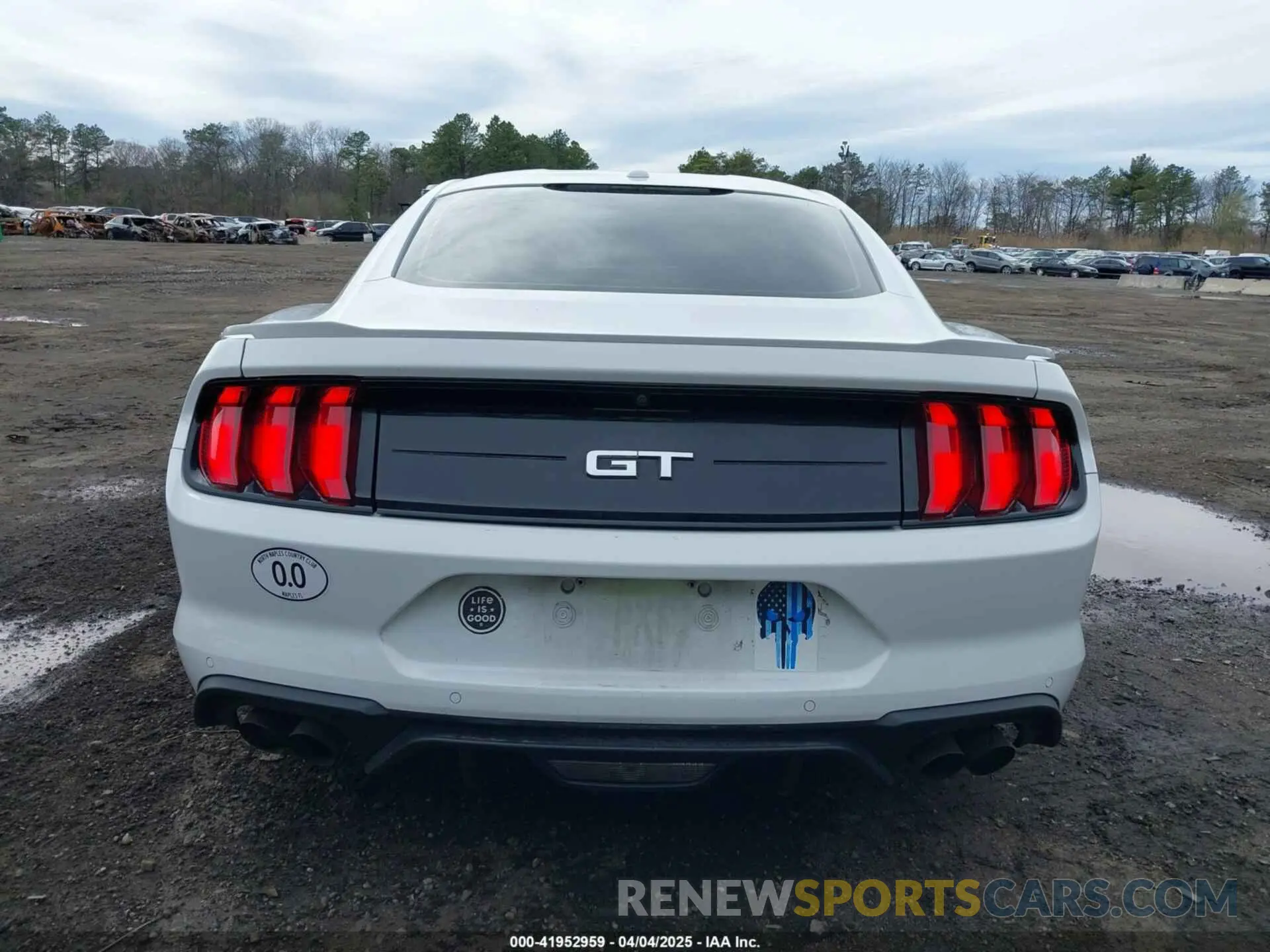 16 Photograph of a damaged car 1FA6P8CF2K5103419 FORD MUSTANG 2019