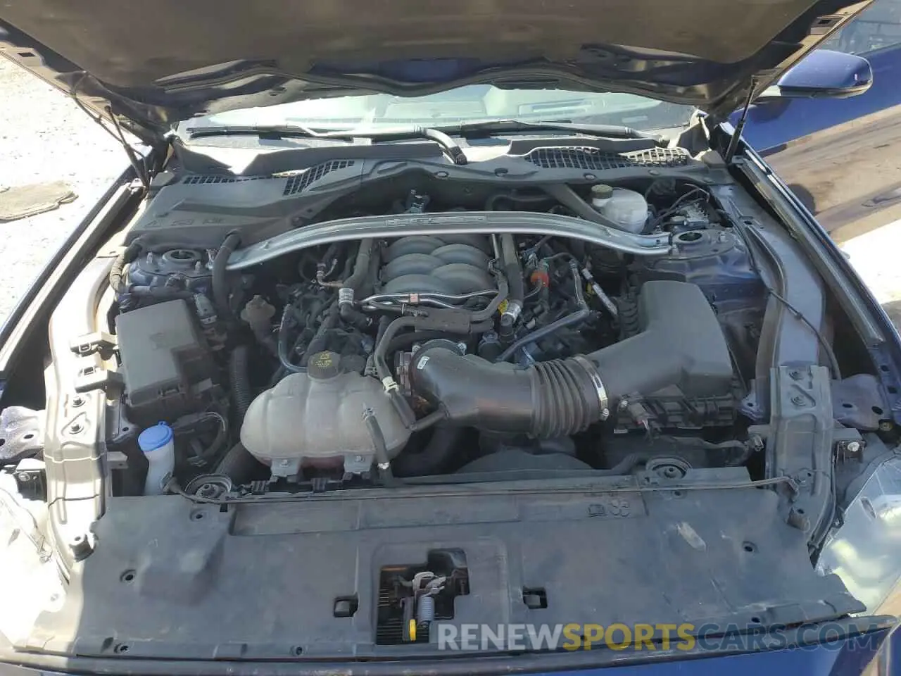 11 Photograph of a damaged car 1FA6P8CF2K5123203 FORD MUSTANG 2019