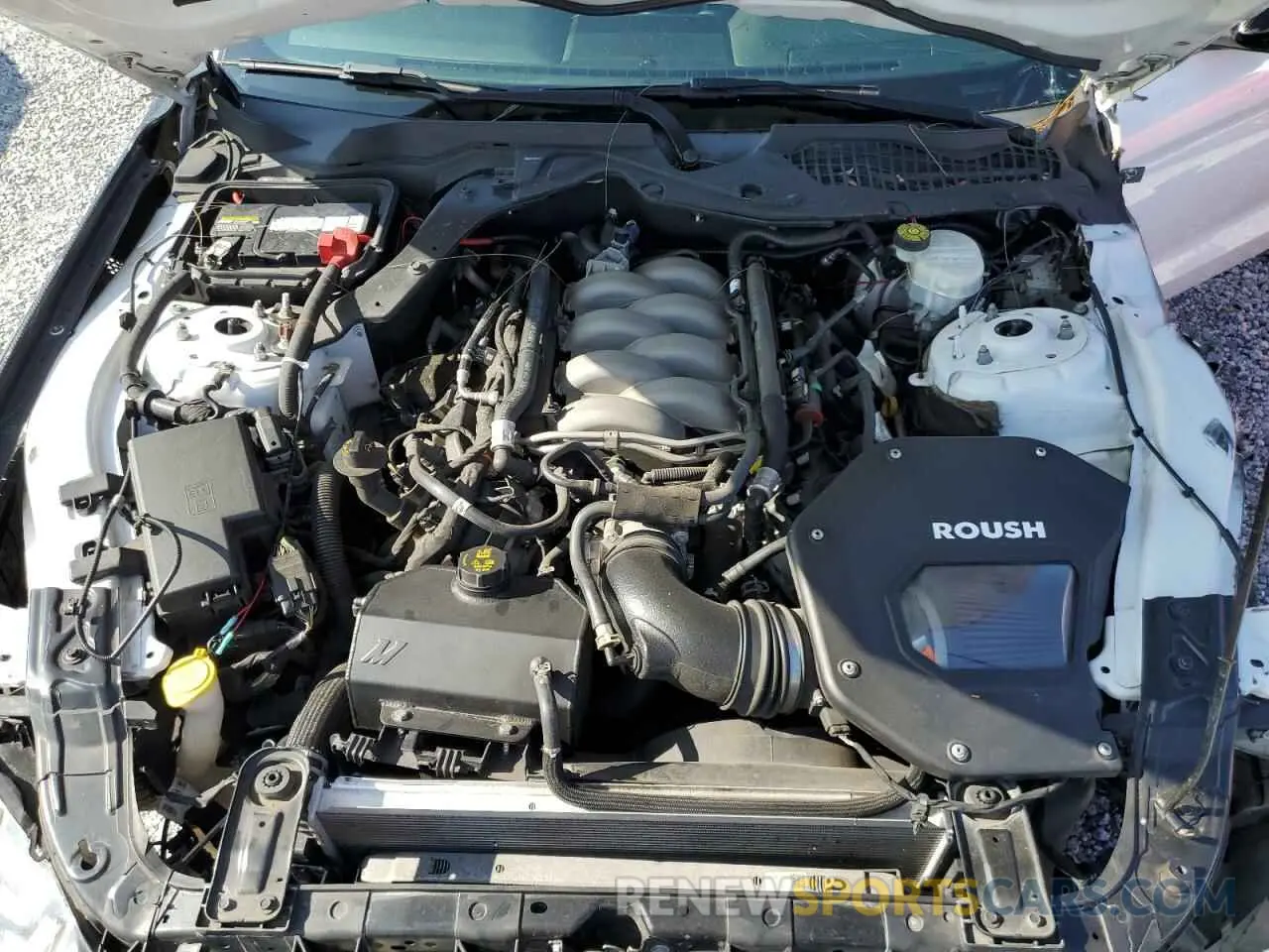 11 Photograph of a damaged car 1FA6P8CF3K5101842 FORD MUSTANG 2019