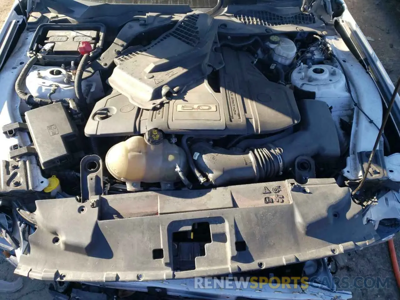 11 Photograph of a damaged car 1FA6P8CF3K5115062 FORD MUSTANG 2019