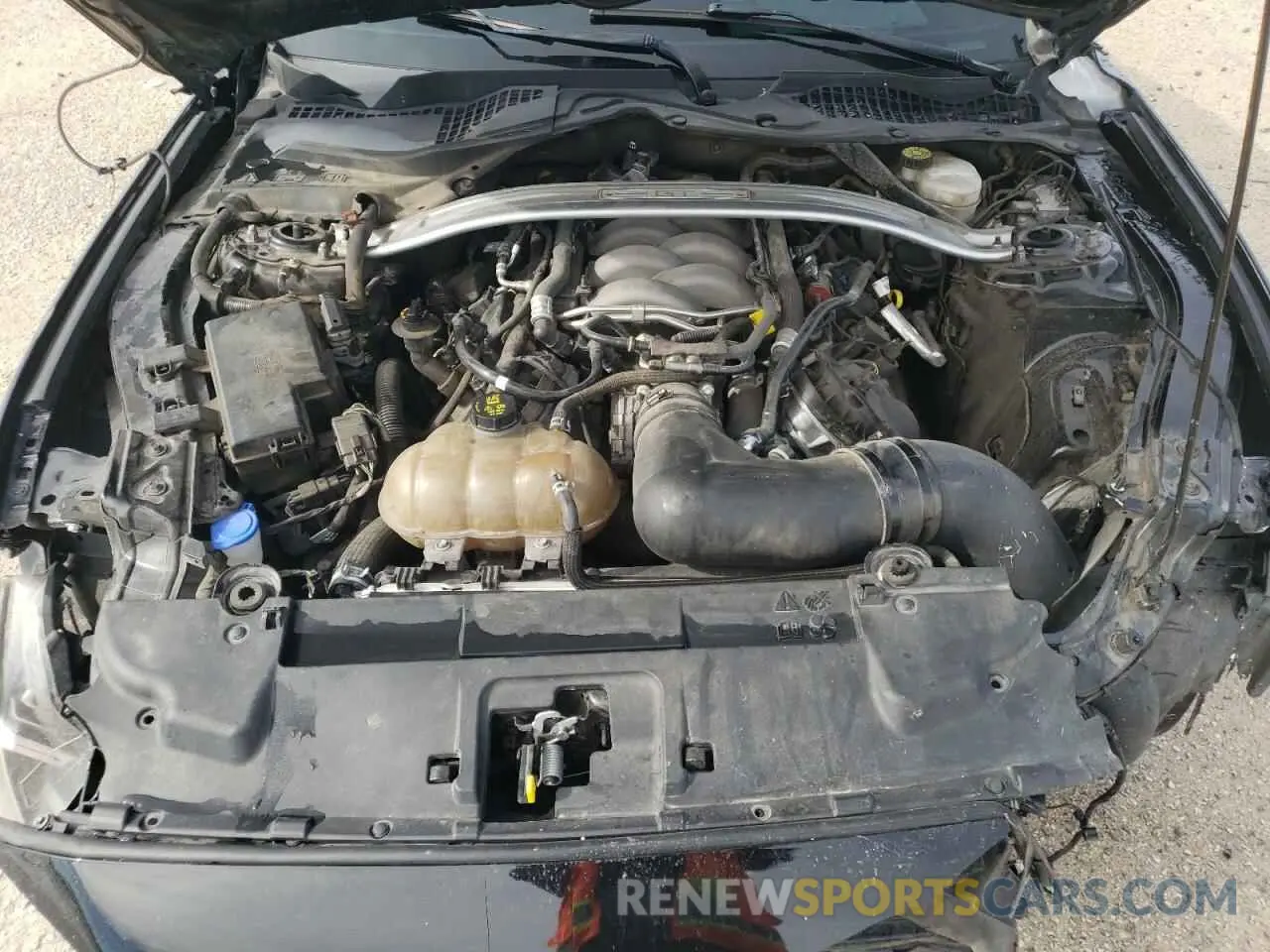 11 Photograph of a damaged car 1FA6P8CF3K5143301 FORD MUSTANG 2019