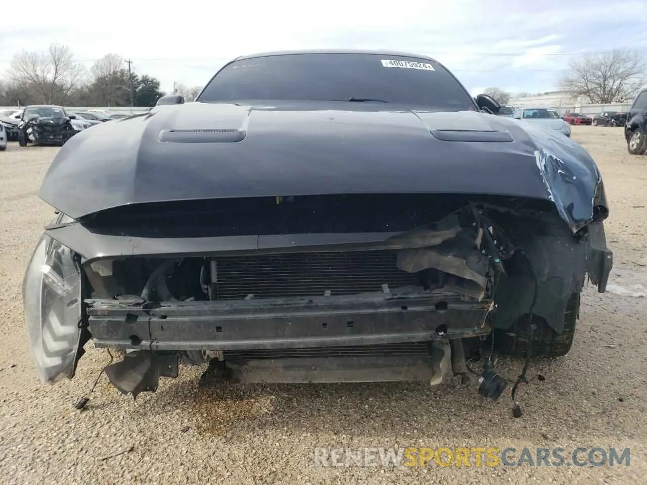 5 Photograph of a damaged car 1FA6P8CF3K5143301 FORD MUSTANG 2019