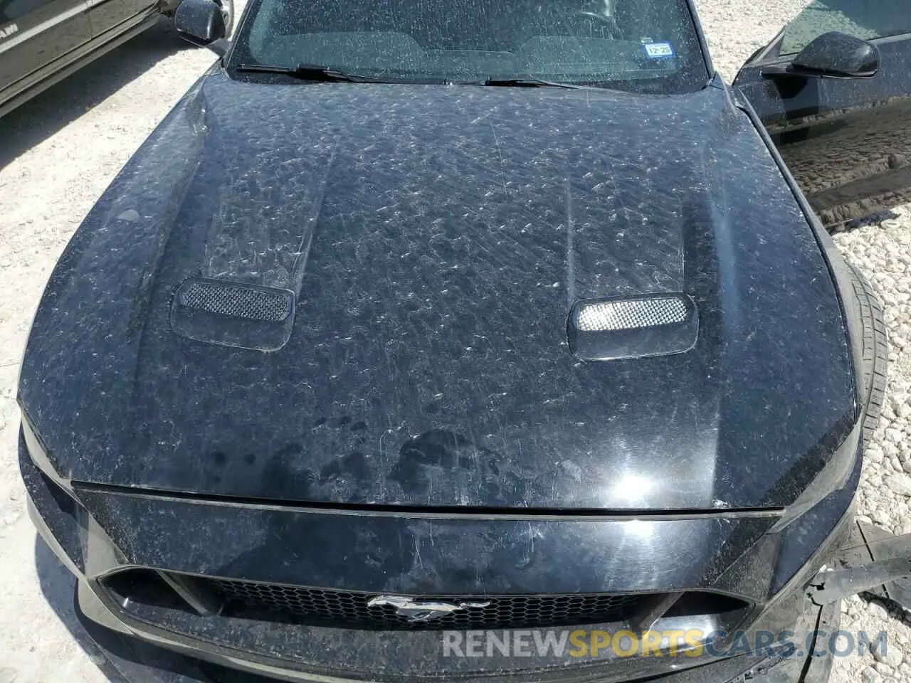 11 Photograph of a damaged car 1FA6P8CF3K5186276 FORD MUSTANG 2019