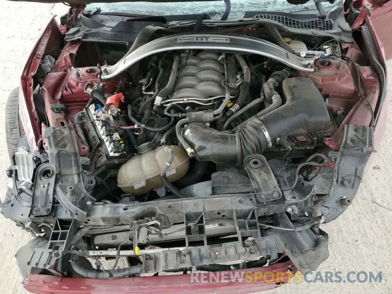 11 Photograph of a damaged car 1FA6P8CF3K5191476 FORD MUSTANG 2019