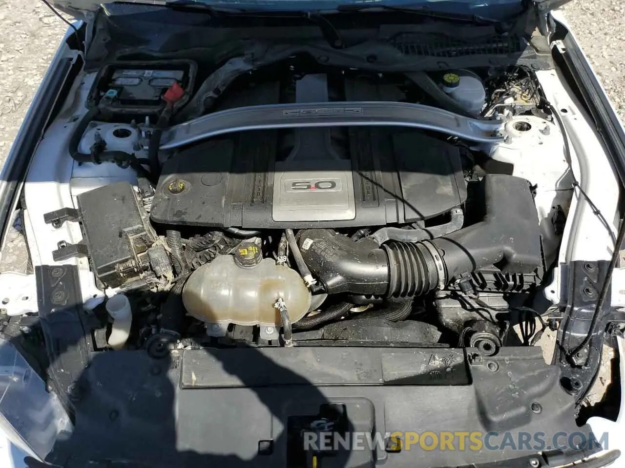 11 Photograph of a damaged car 1FA6P8CF4K5125387 FORD MUSTANG 2019