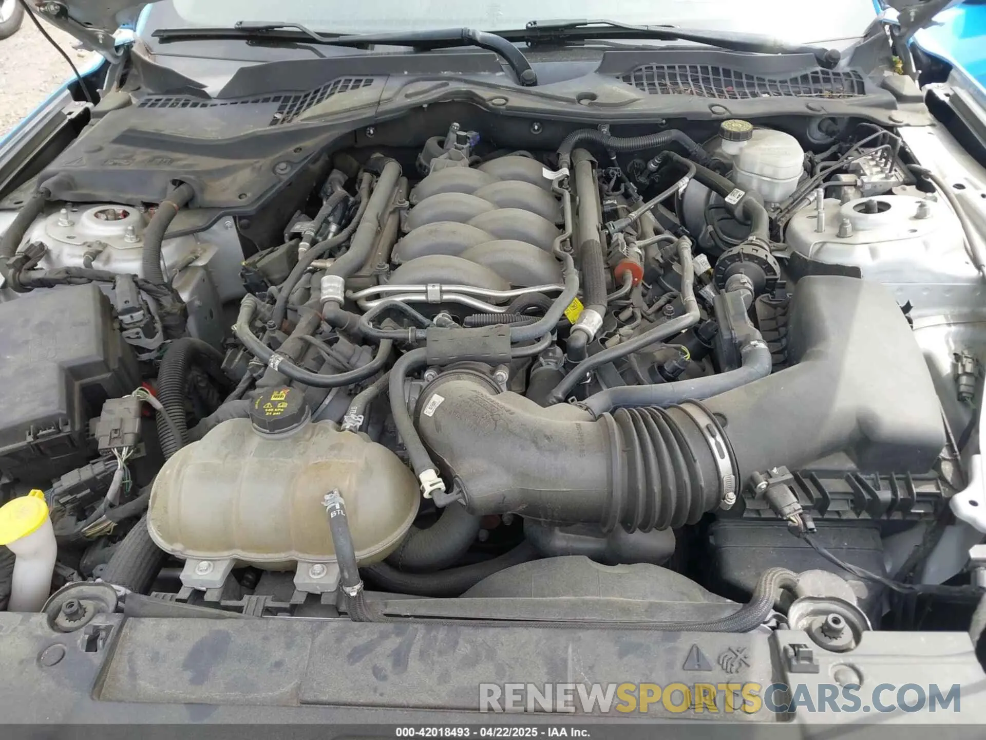 10 Photograph of a damaged car 1FA6P8CF4K5144134 FORD MUSTANG 2019