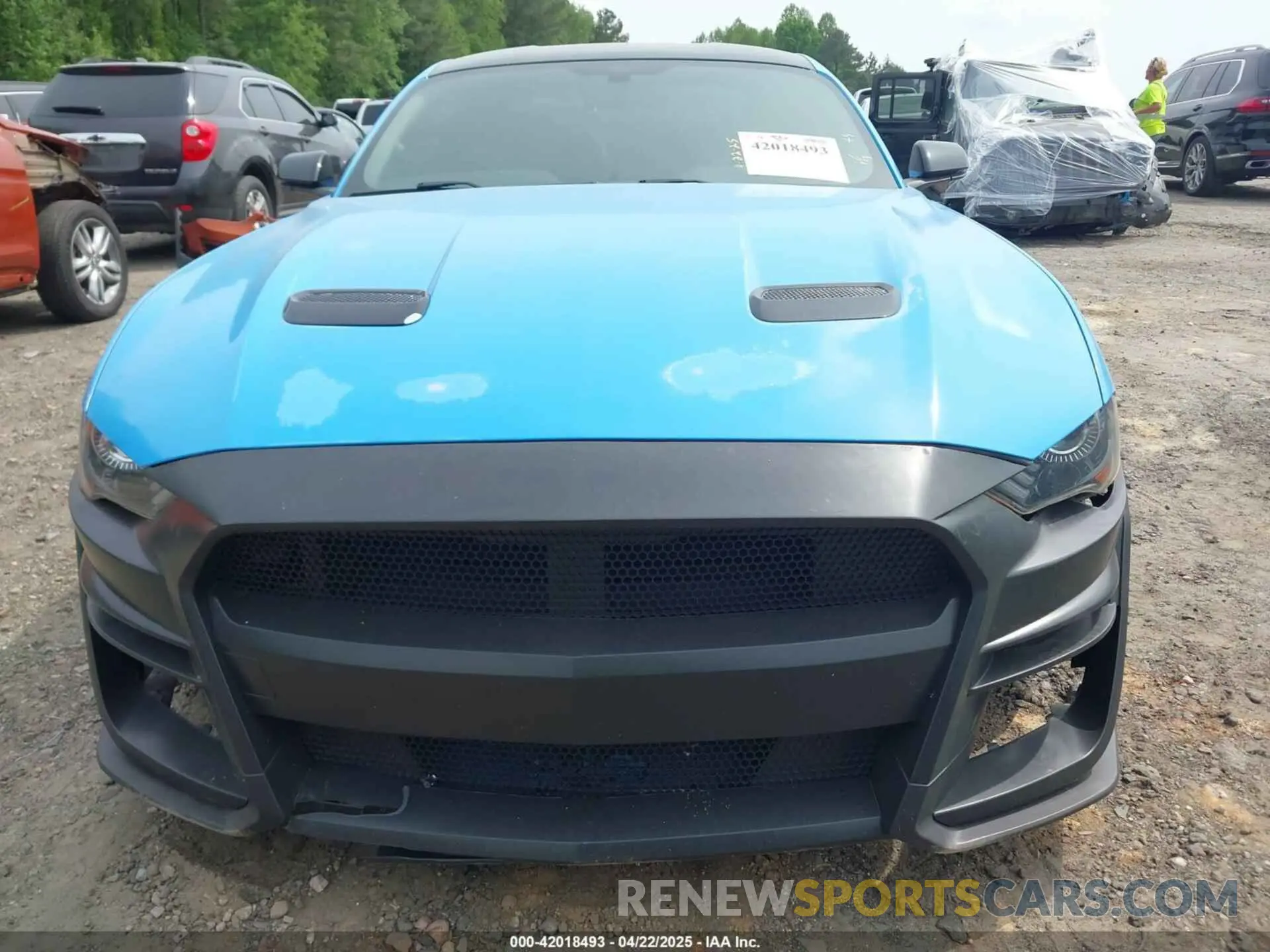 13 Photograph of a damaged car 1FA6P8CF4K5144134 FORD MUSTANG 2019
