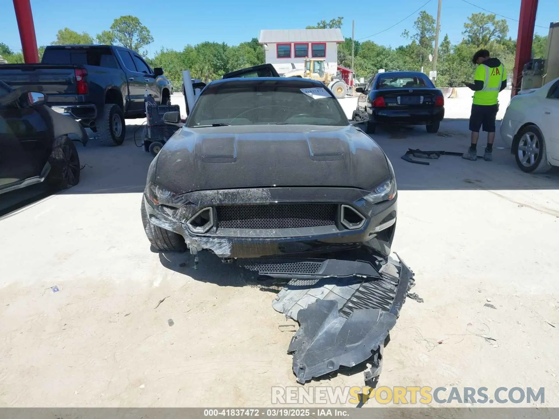 12 Photograph of a damaged car 1FA6P8CF4K5147017 FORD MUSTANG 2019