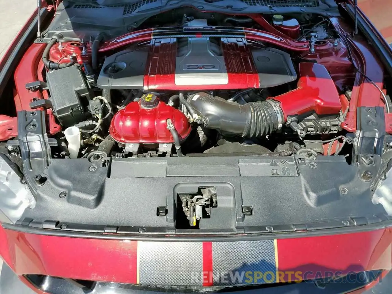 11 Photograph of a damaged car 1FA6P8CF4K5161211 FORD MUSTANG 2019