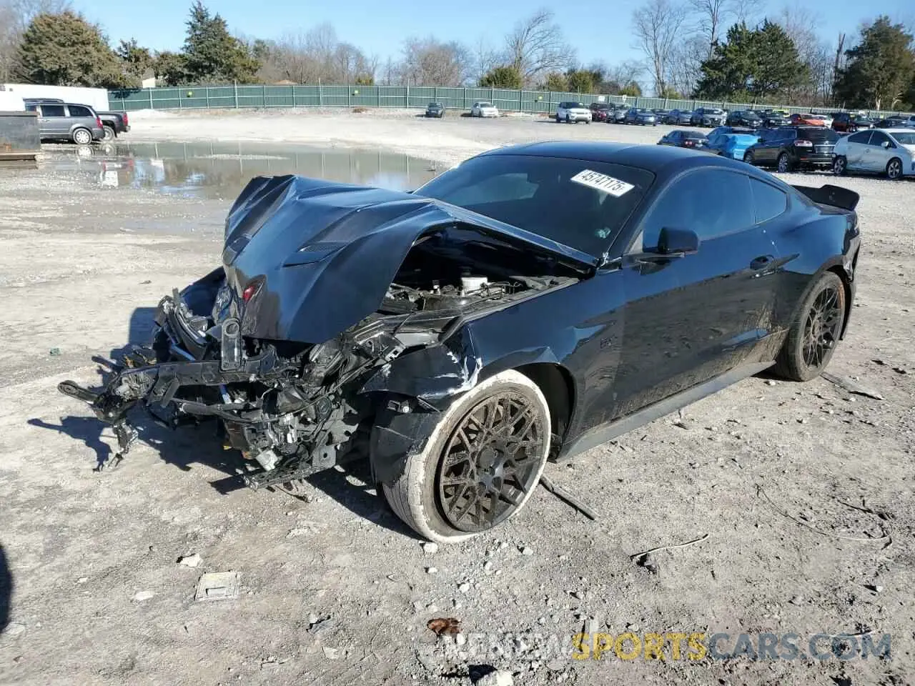 1 Photograph of a damaged car 1FA6P8CF4K5166246 FORD MUSTANG 2019