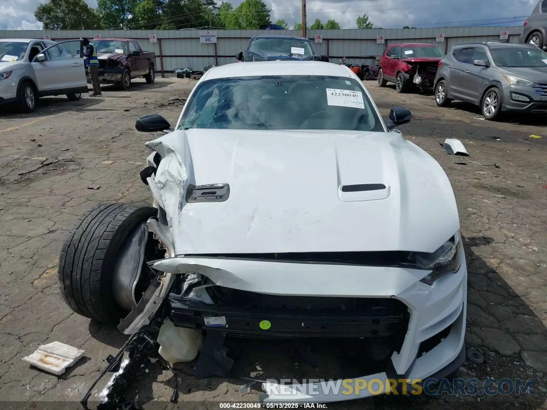 12 Photograph of a damaged car 1FA6P8CF4K5203151 FORD MUSTANG 2019