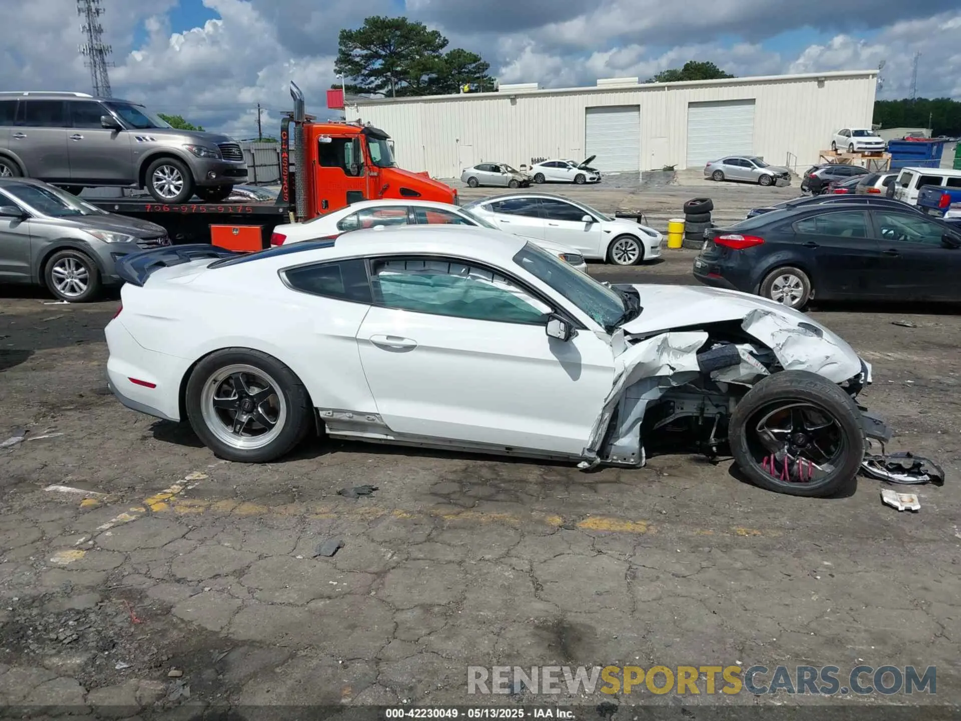 13 Photograph of a damaged car 1FA6P8CF4K5203151 FORD MUSTANG 2019