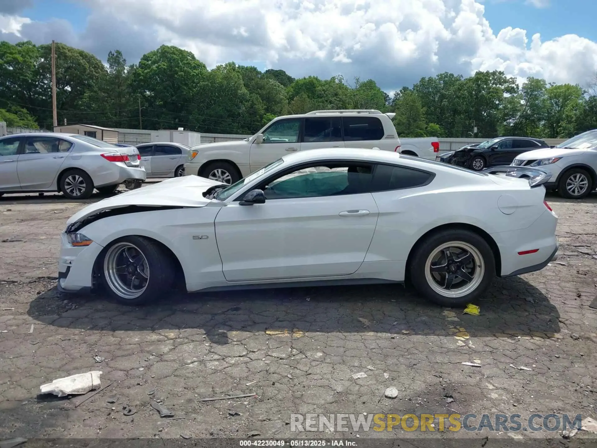 14 Photograph of a damaged car 1FA6P8CF4K5203151 FORD MUSTANG 2019
