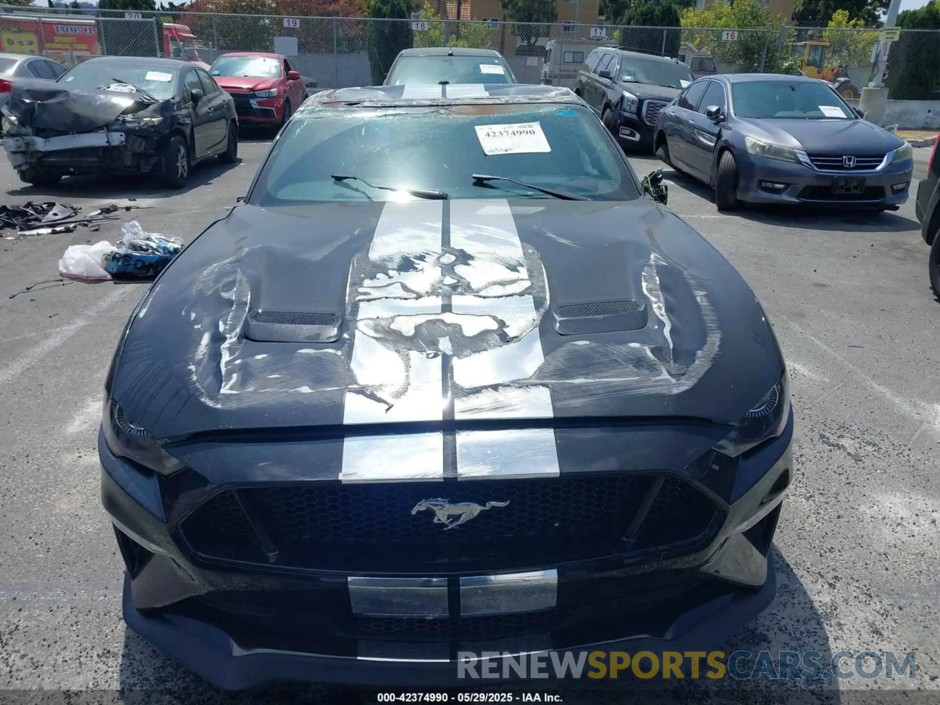 11 Photograph of a damaged car 1FA6P8CF5K5123387 FORD MUSTANG 2019