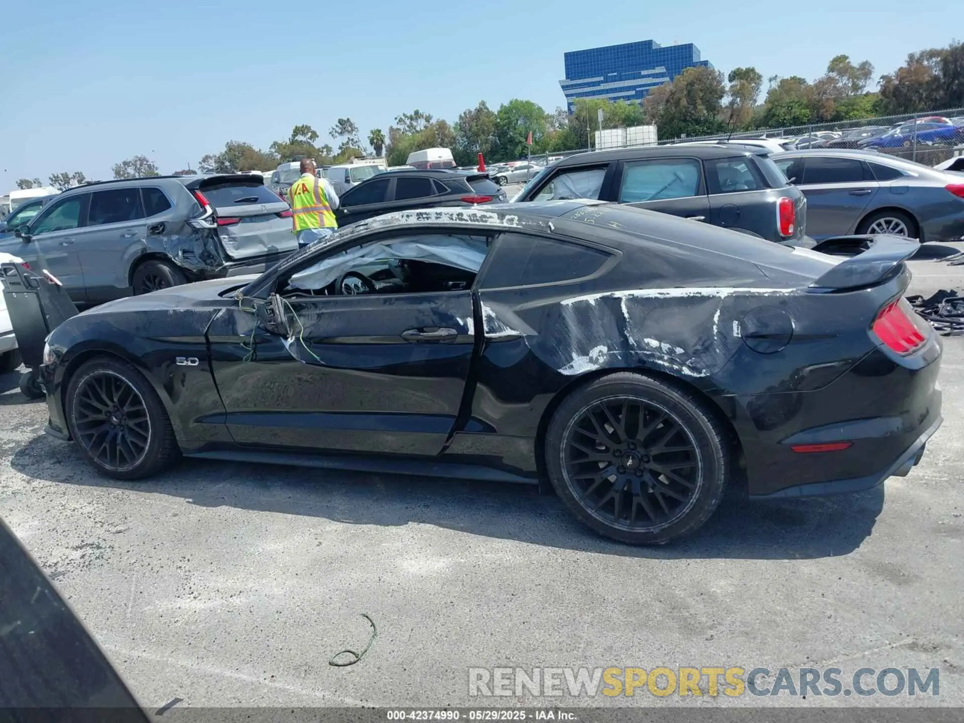 13 Photograph of a damaged car 1FA6P8CF5K5123387 FORD MUSTANG 2019