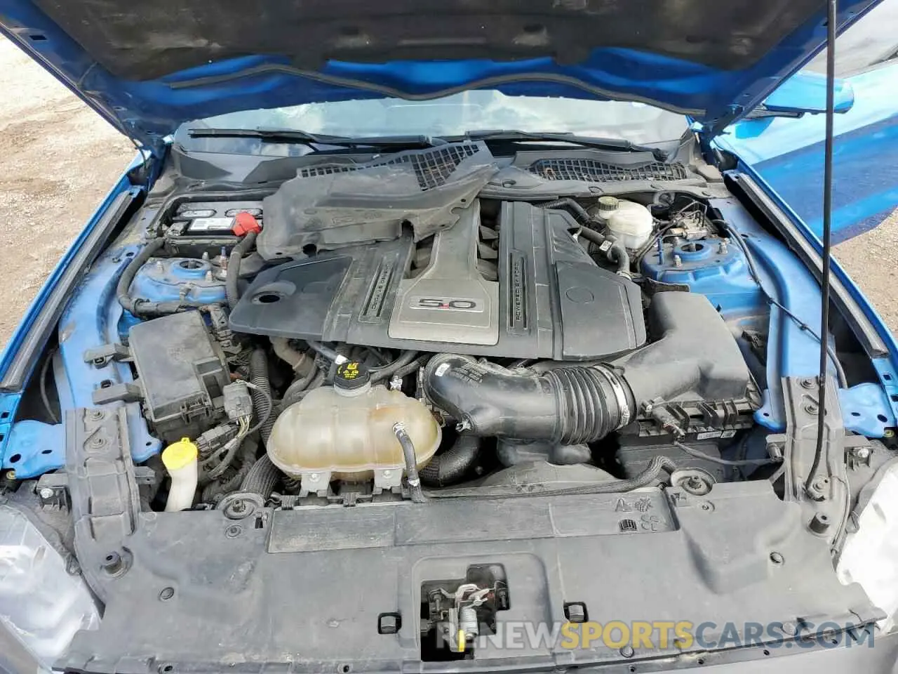 11 Photograph of a damaged car 1FA6P8CF5K5125141 FORD MUSTANG 2019