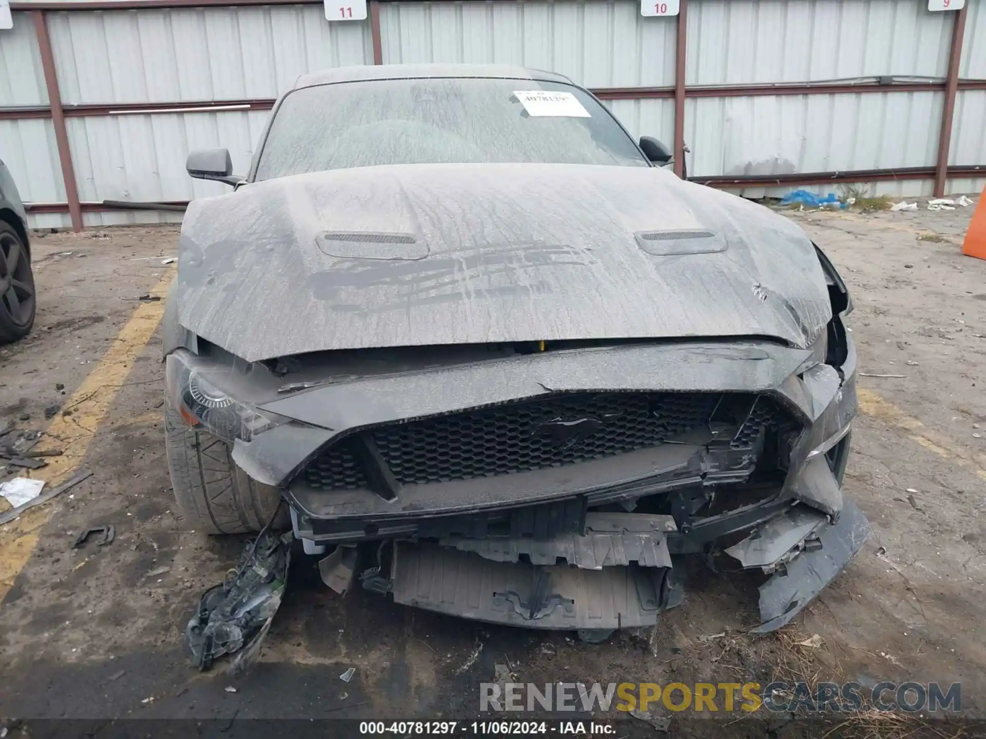 12 Photograph of a damaged car 1FA6P8CF5K5132235 FORD MUSTANG 2019