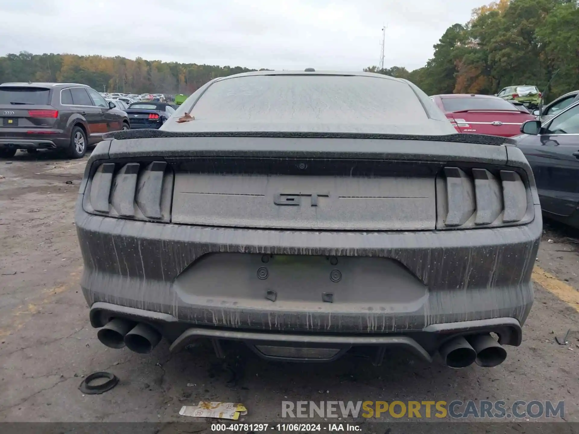 16 Photograph of a damaged car 1FA6P8CF5K5132235 FORD MUSTANG 2019