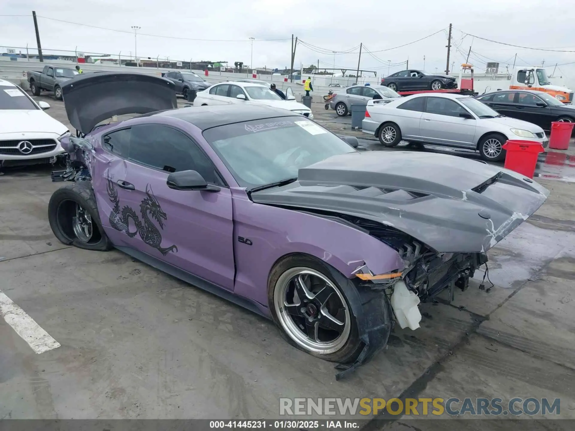 1 Photograph of a damaged car 1FA6P8CF5K5168135 FORD MUSTANG 2019