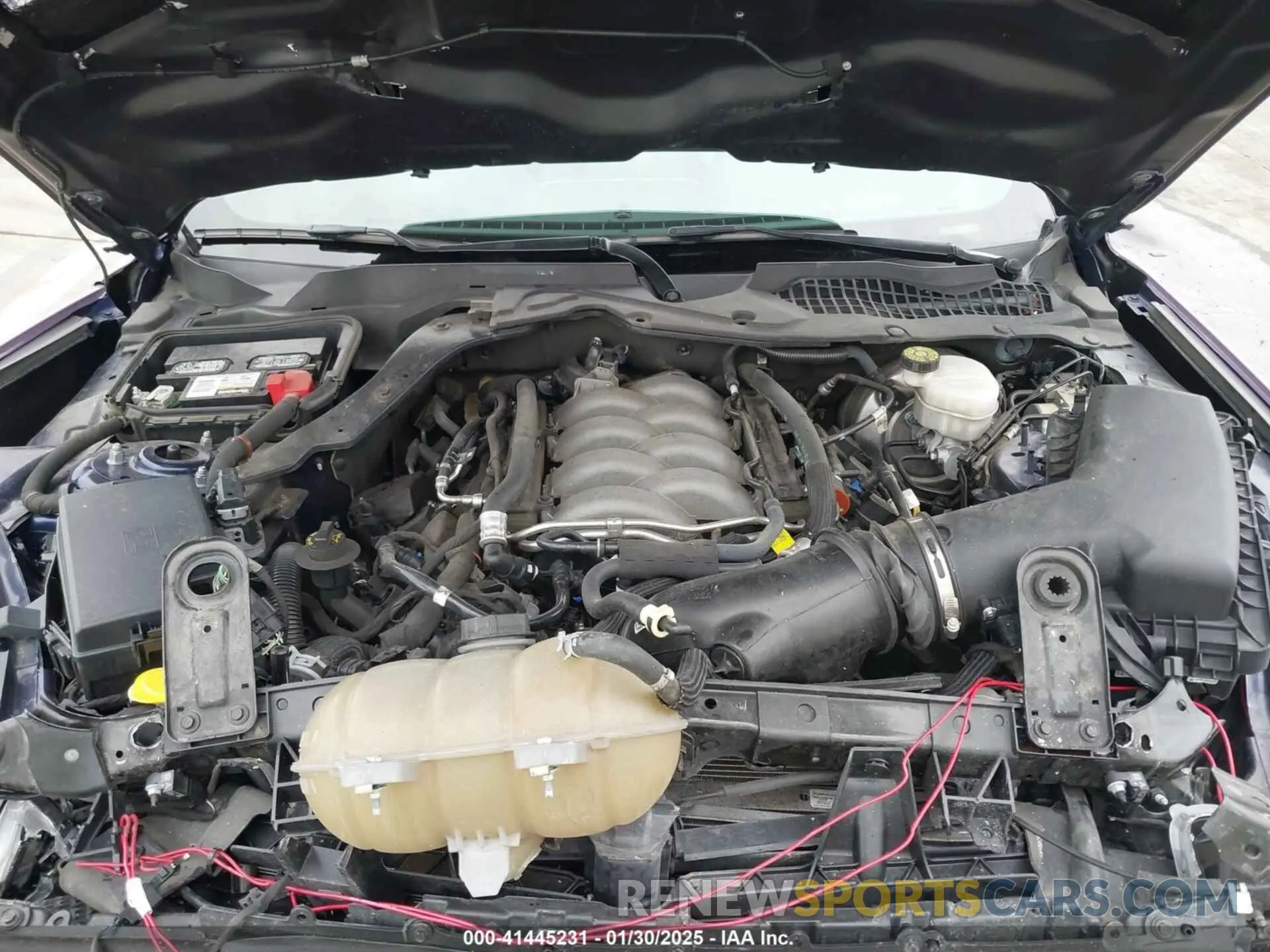 10 Photograph of a damaged car 1FA6P8CF5K5168135 FORD MUSTANG 2019