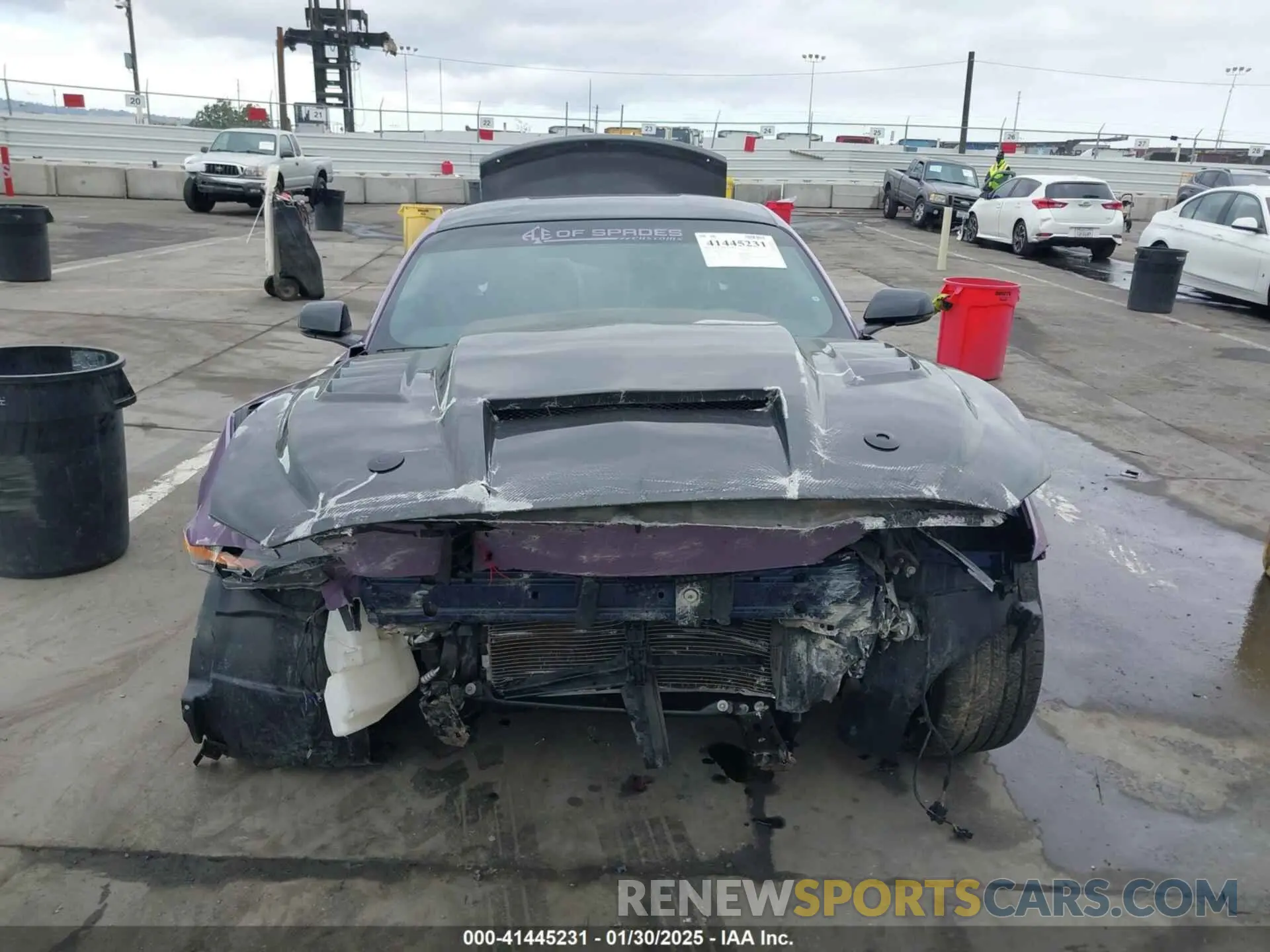 12 Photograph of a damaged car 1FA6P8CF5K5168135 FORD MUSTANG 2019