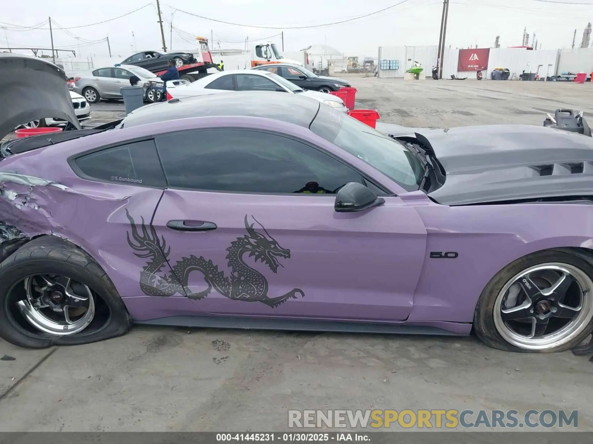 13 Photograph of a damaged car 1FA6P8CF5K5168135 FORD MUSTANG 2019