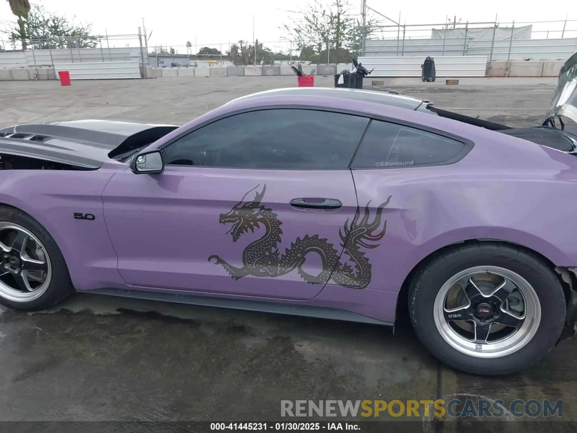 14 Photograph of a damaged car 1FA6P8CF5K5168135 FORD MUSTANG 2019