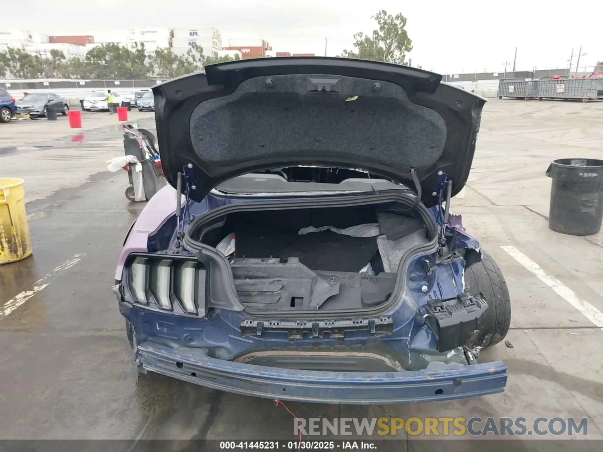 16 Photograph of a damaged car 1FA6P8CF5K5168135 FORD MUSTANG 2019