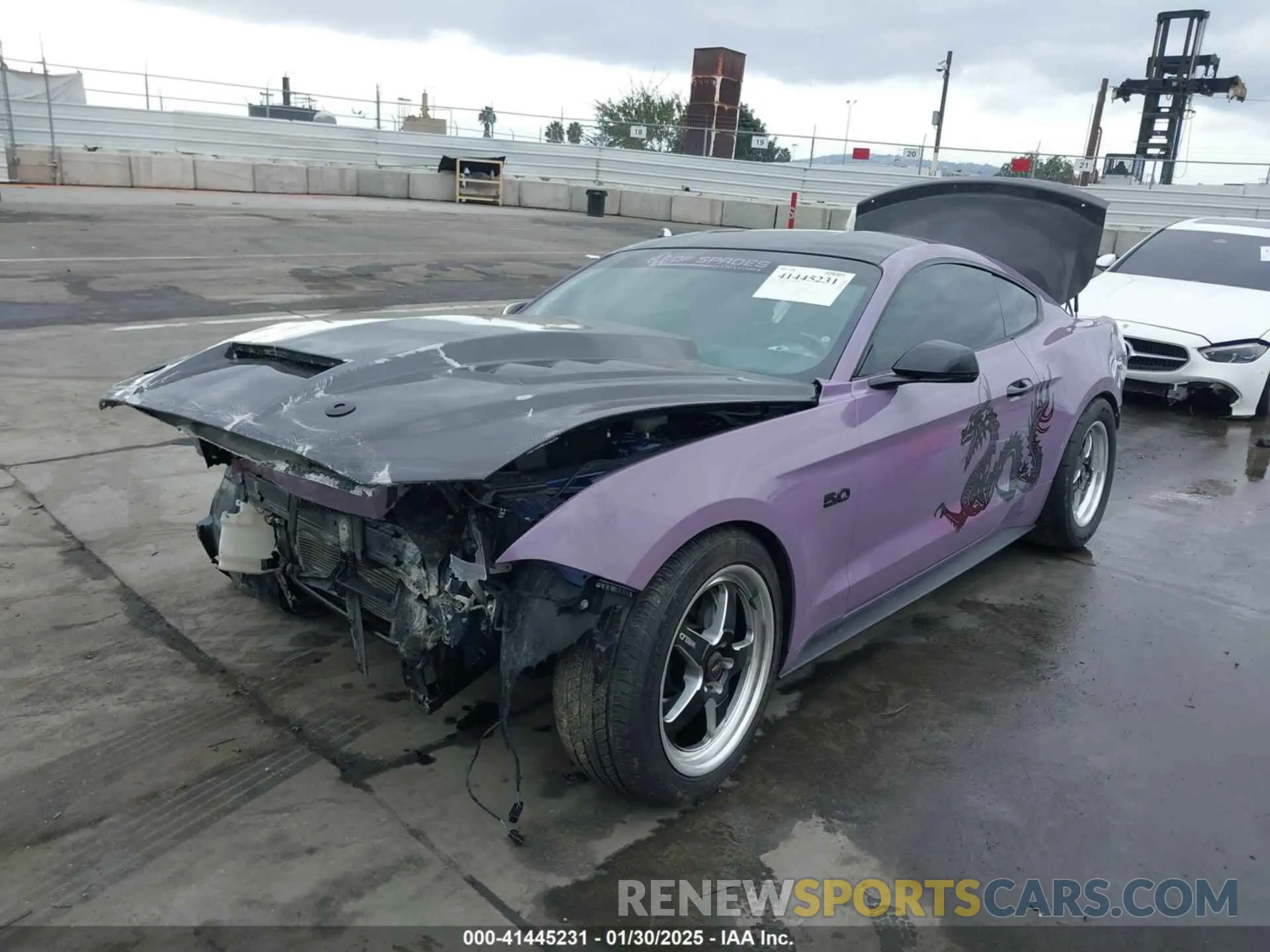 2 Photograph of a damaged car 1FA6P8CF5K5168135 FORD MUSTANG 2019